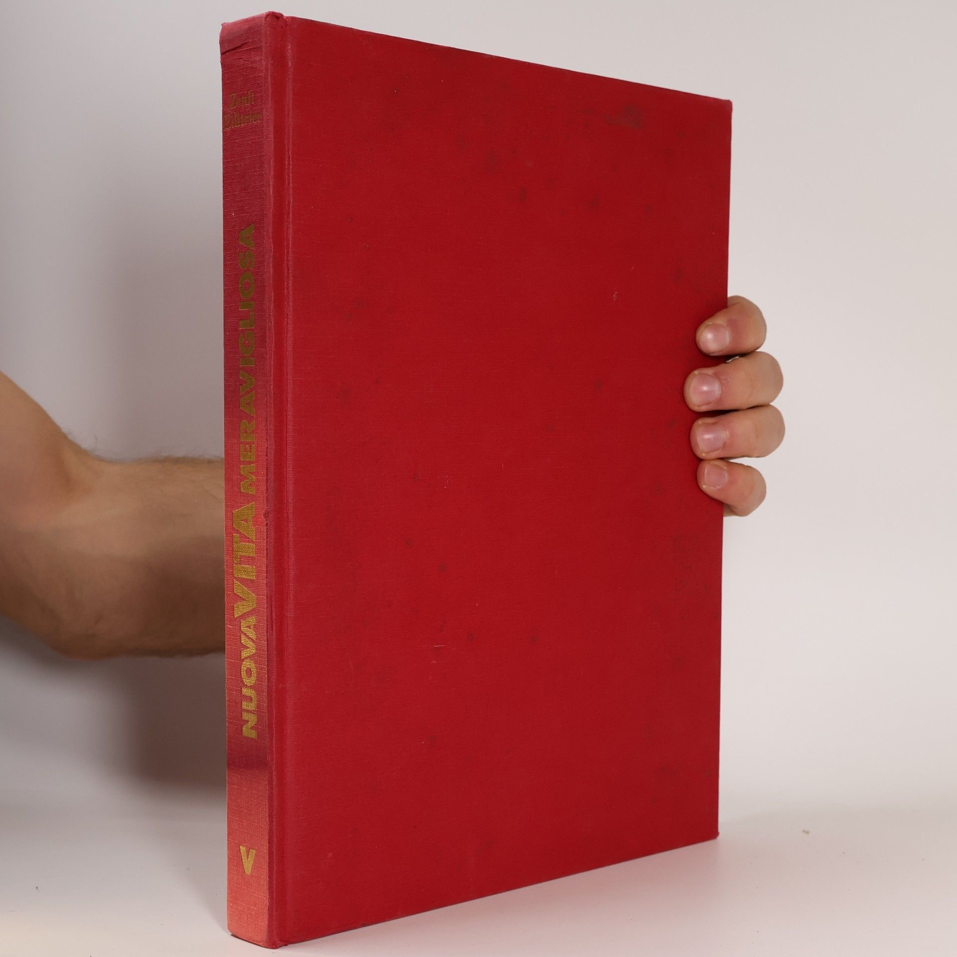 Kolektív autorov Enciclopedia delle tue ricerche. Nuova Vita Meravigliosa V