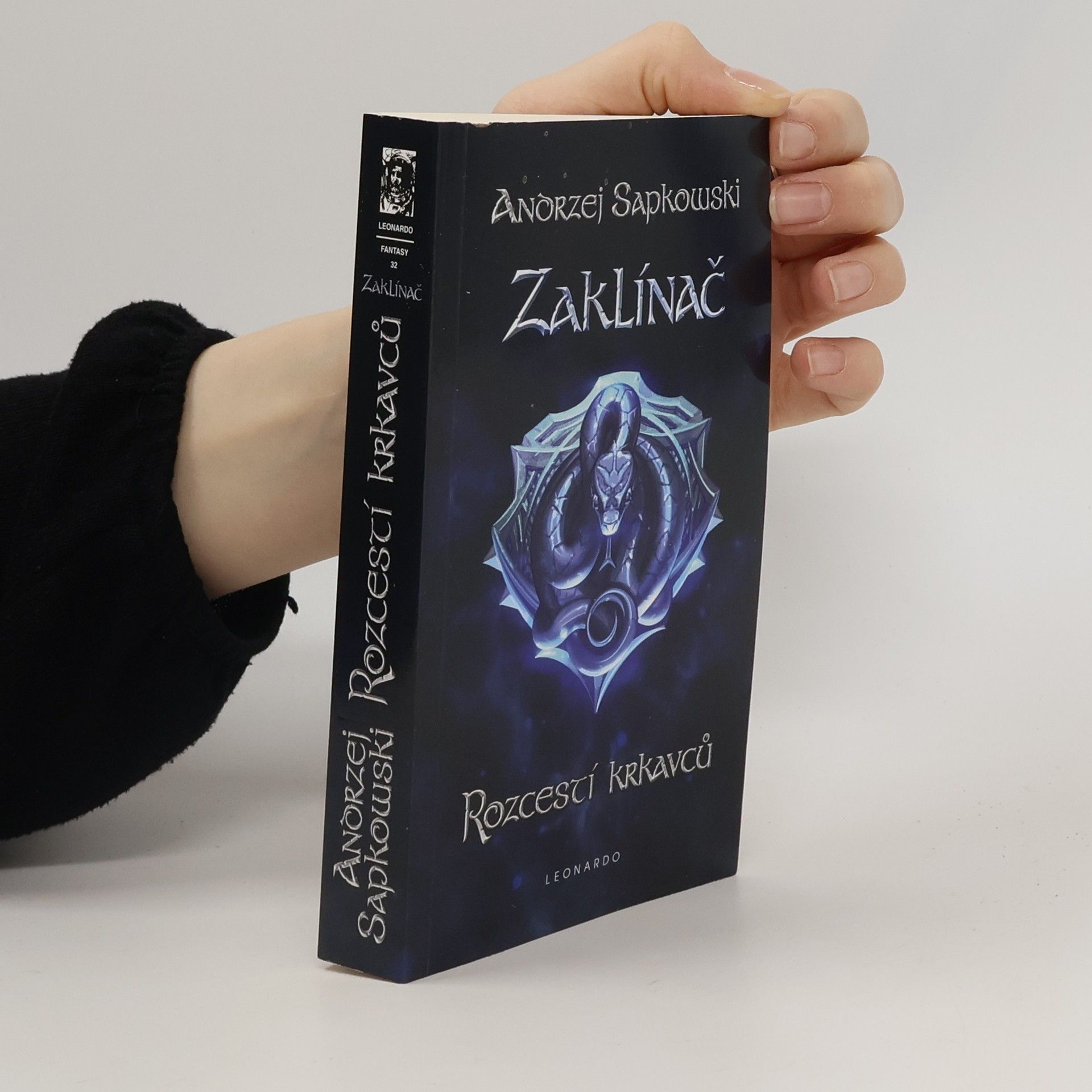 Zaklínač IX. Rozcestí krkavců