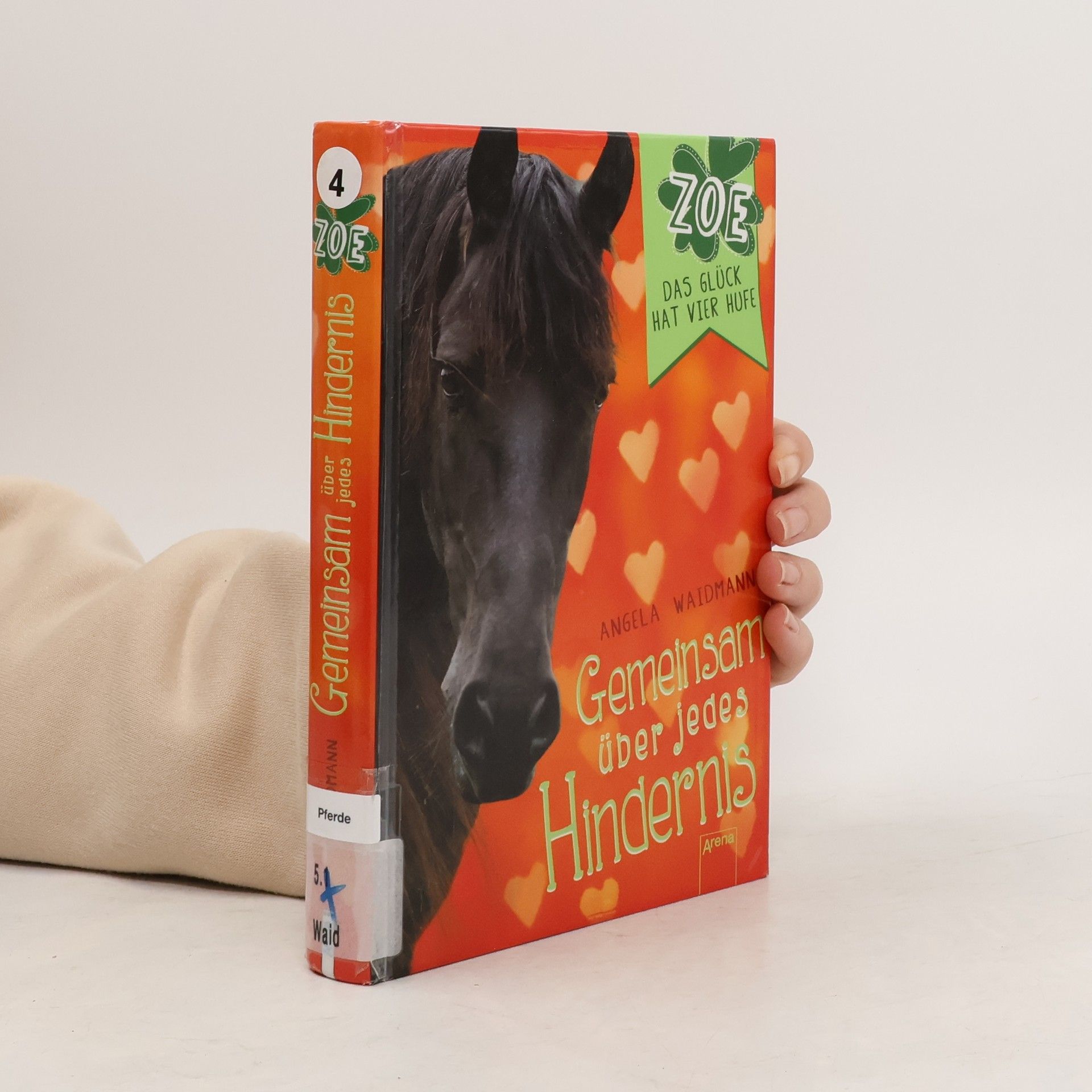 Zoe, das Glück hat vier Hufe - gemeinsam über jedes Hindernis