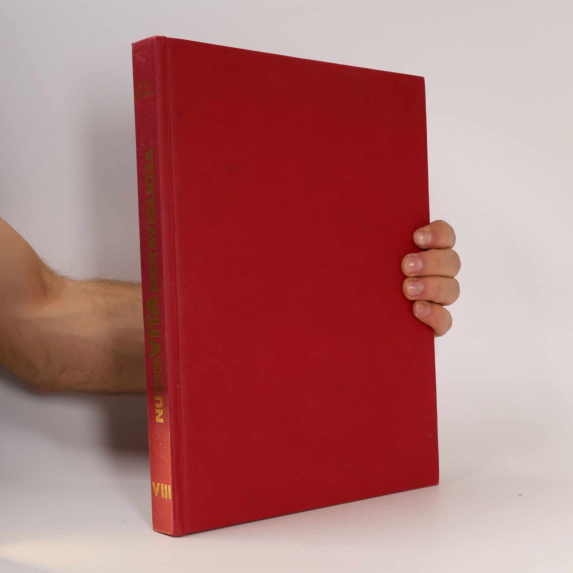 Kolektív autorov Enciclopedia delle tue ricerche VIII. Nuova Vita Meravigliosa