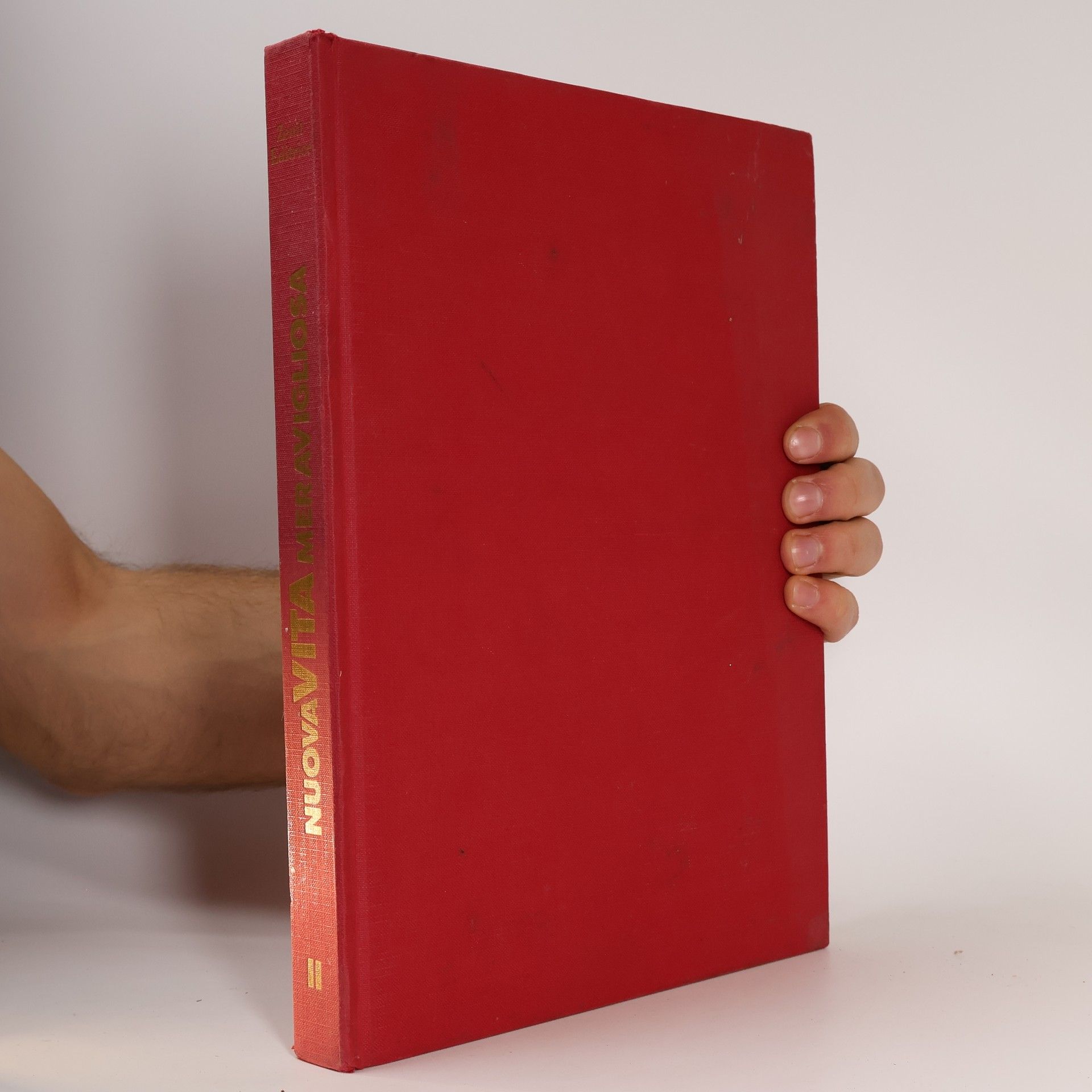 Kolektív autorov Enciclopedia delle tue ricerche II. Nuova Vita Meravigliosa