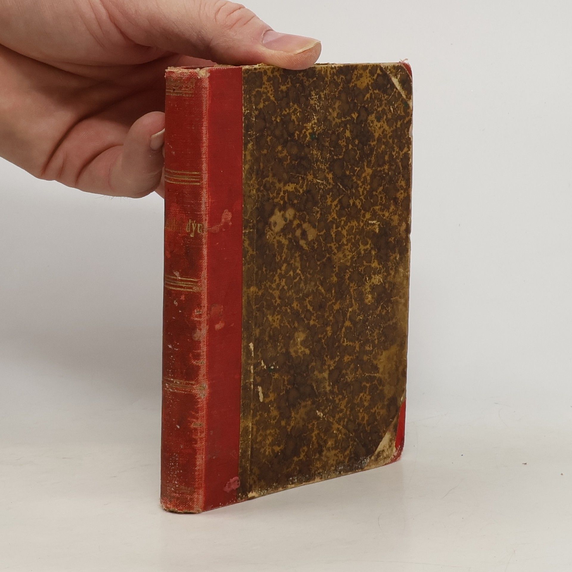 Václav Panýrek Lehký dým