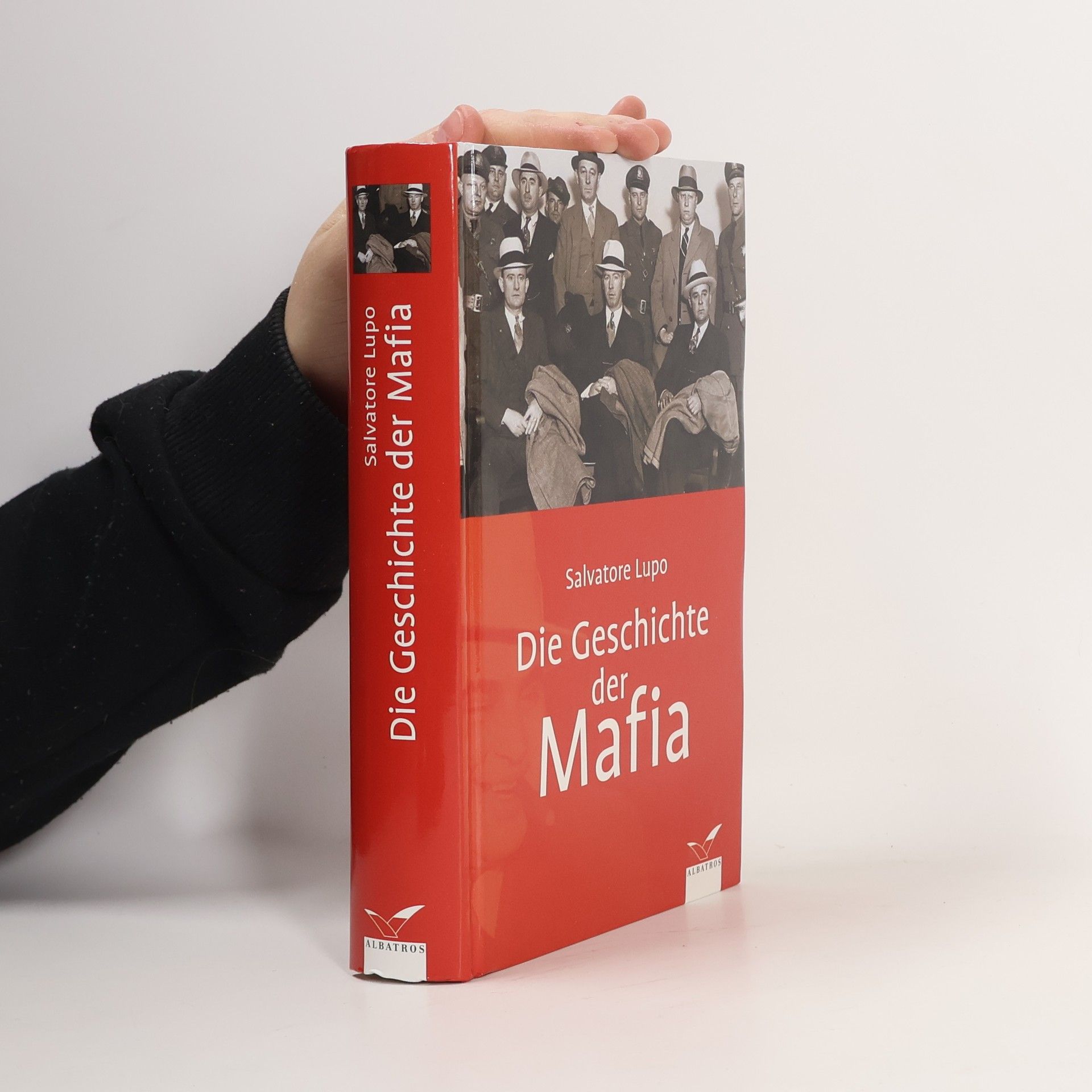 Salvatore Lupo Die Geschichte der Mafia