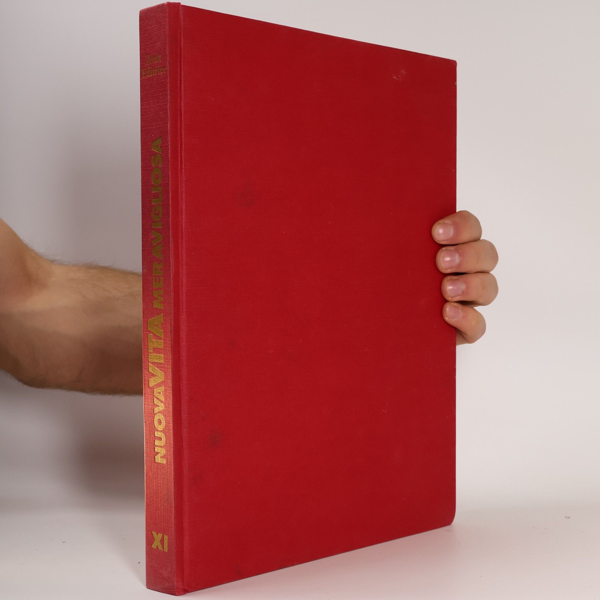 Kolektív autorov Enciclopedia delle tue ricerche XI. Nuova Vita Meravigliosa