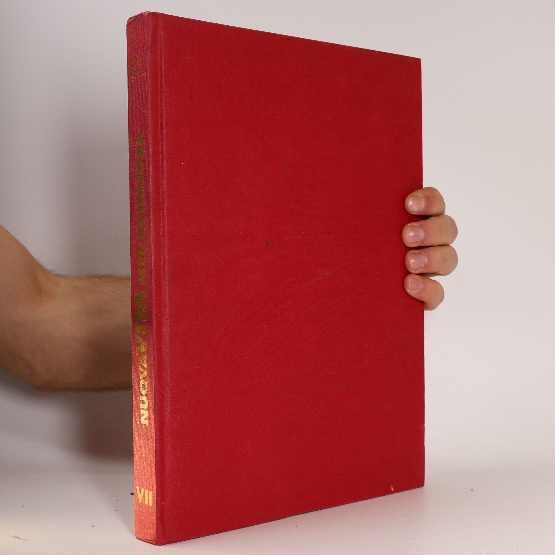 AA.VV. Nuova vita Meravigliosa VII.