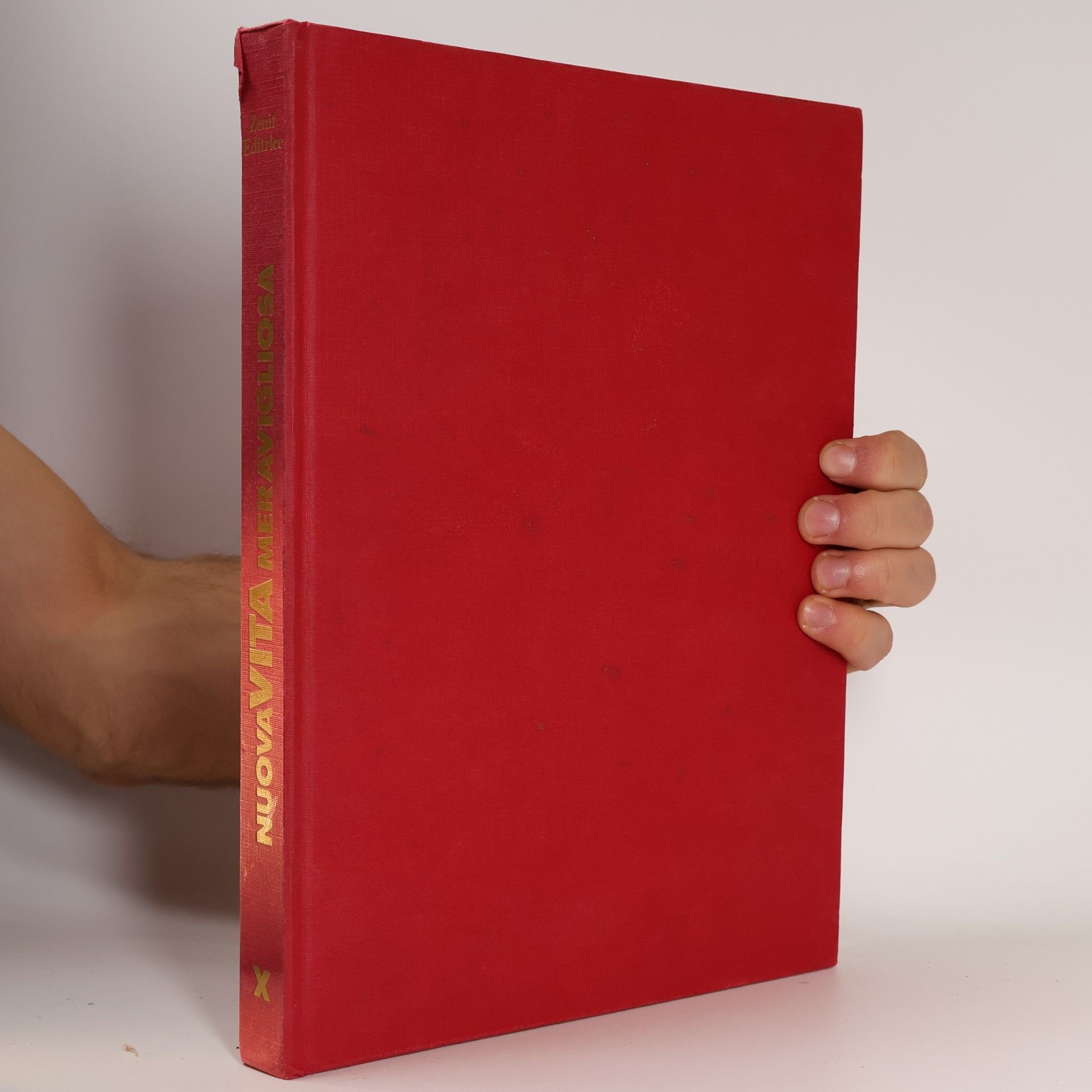 Kolektív autorov Enciclopedia delle tue ricerche X. Nuova Vita Meravigliosa