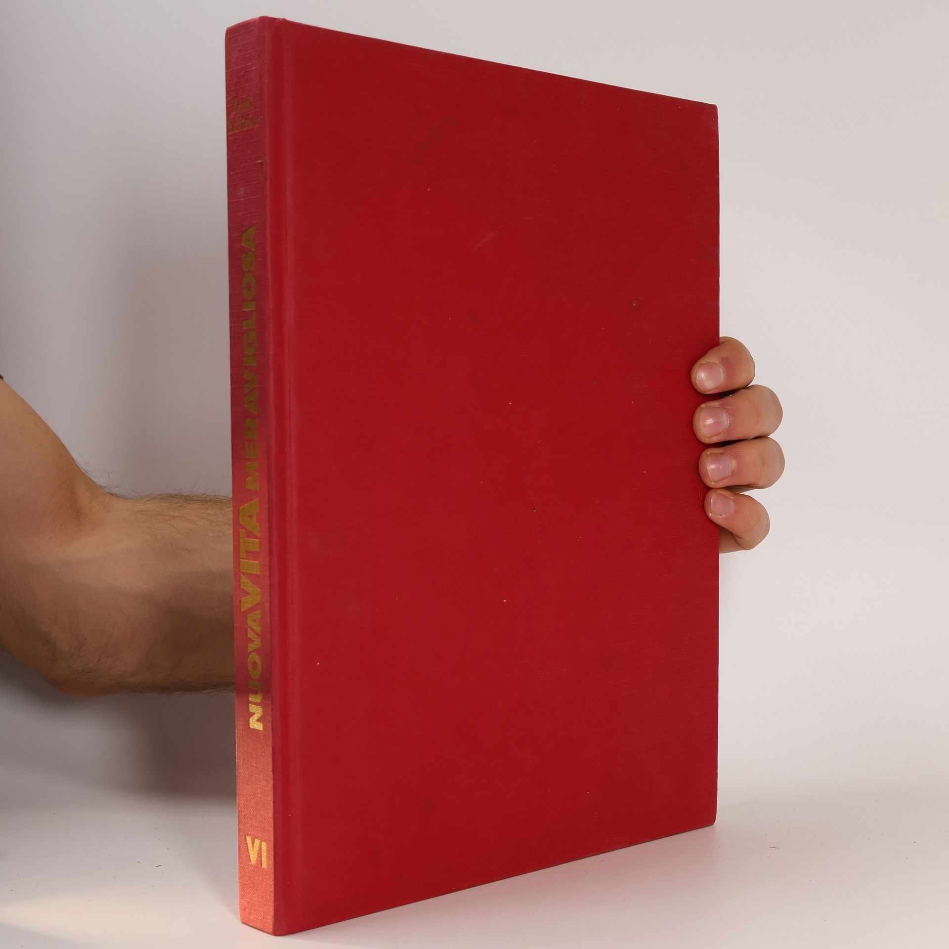 Kolektív autorov Enciclopedia delle tue ricerche VI. Nuova Vita Meravigliosa