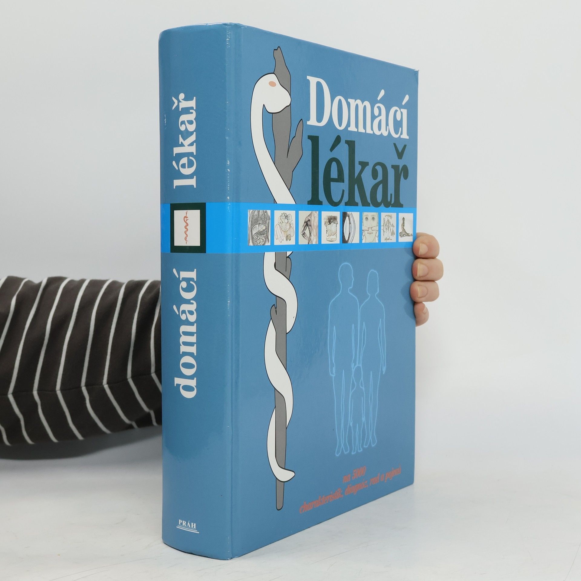 Autores varios Domácí lékař