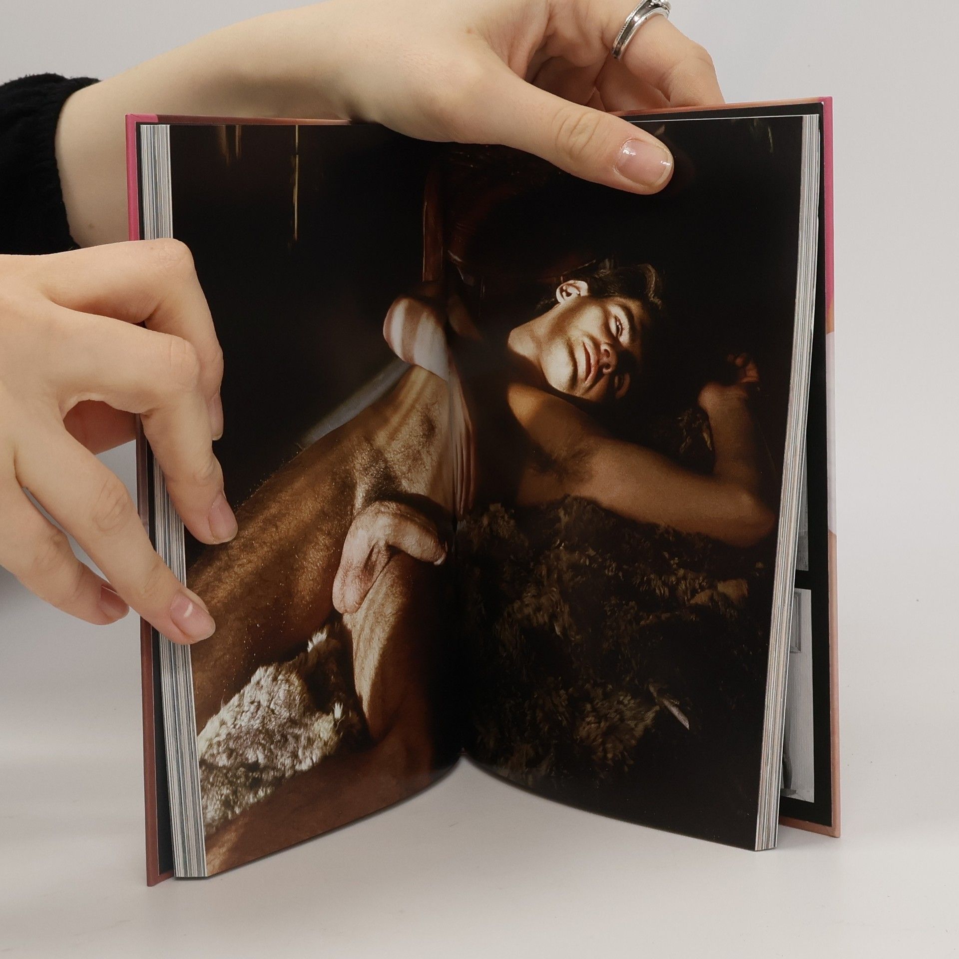 Dian Hanson Th Little Penis Book
