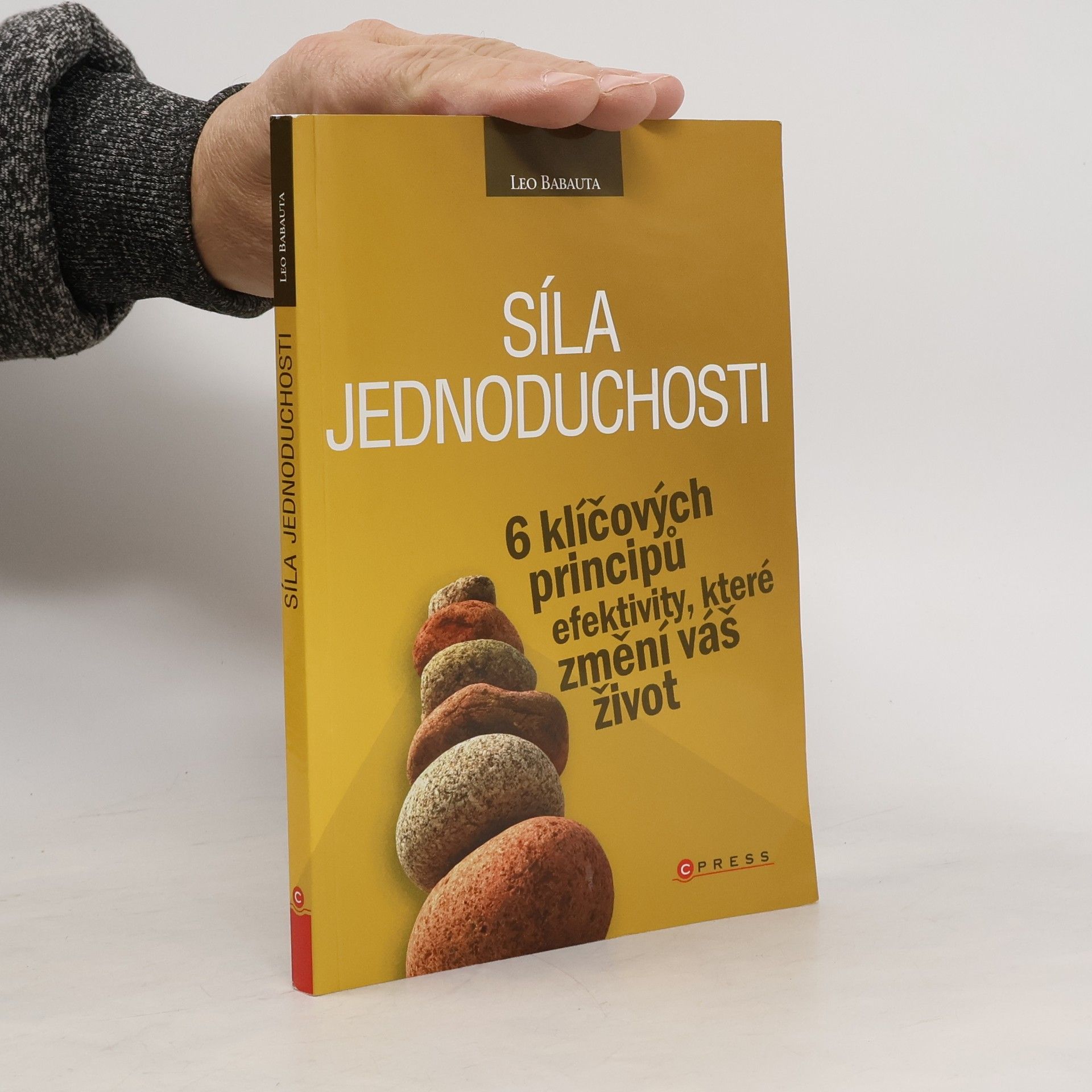 Leo Babauta Síla jednoduchosti. 6 klíčových principů efektivity, které změní váš život