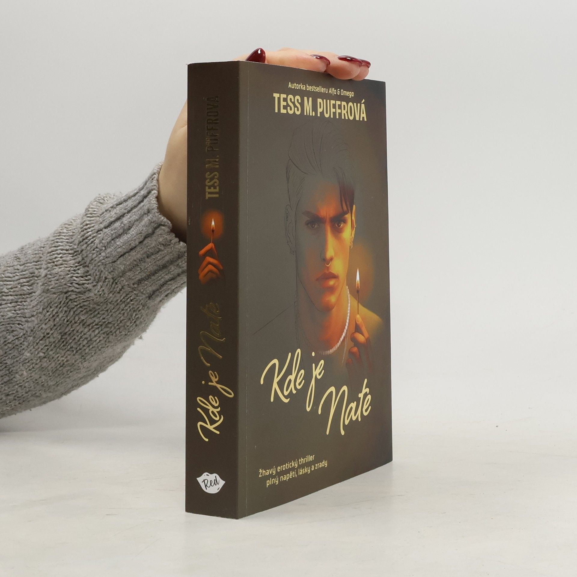 Tess M. Puffrová Kde je Nate