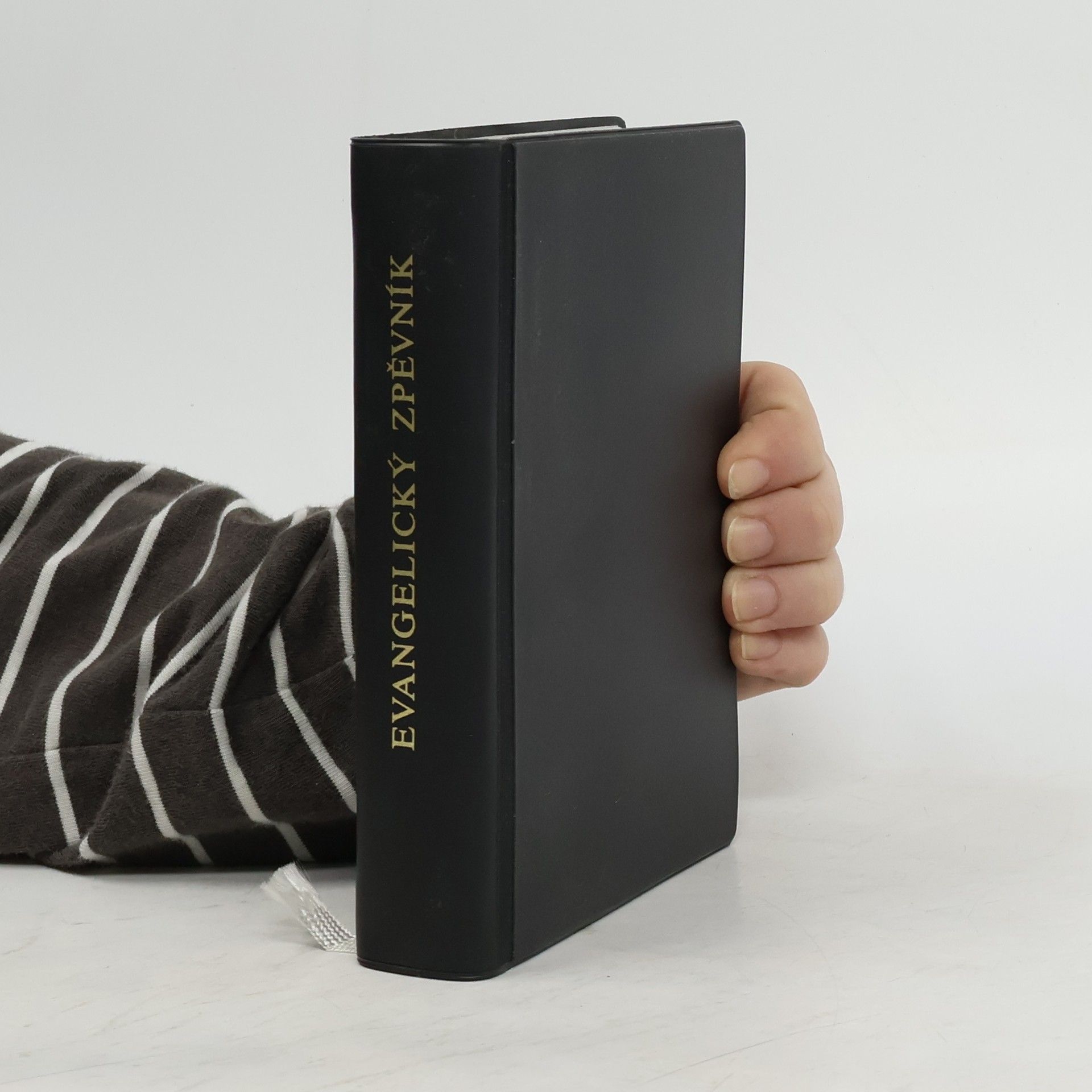 Collectif d'auteurs Evangelický zpěvník