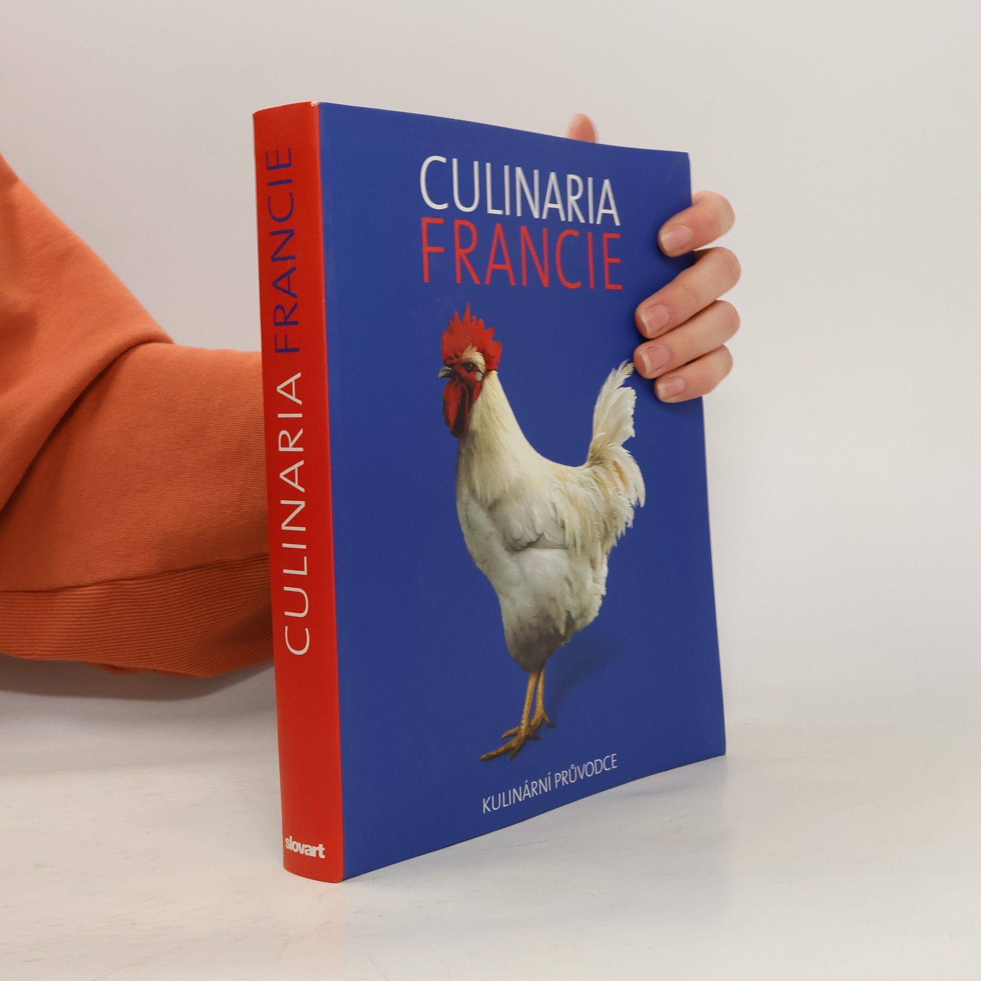 André Dominé Culinaria Francie