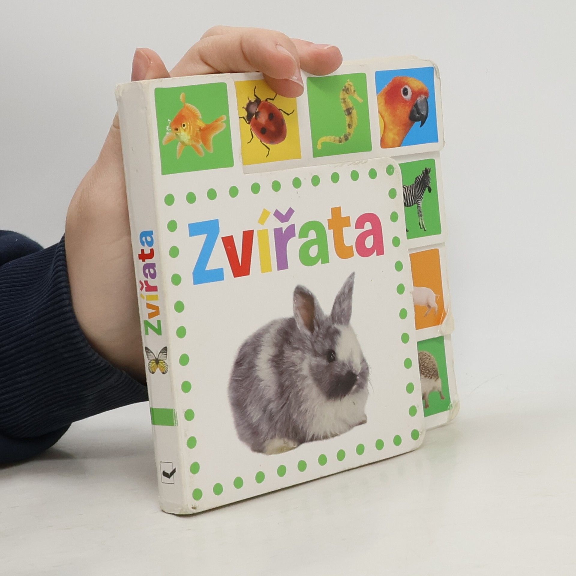 Kolektiv autorů Zvířata