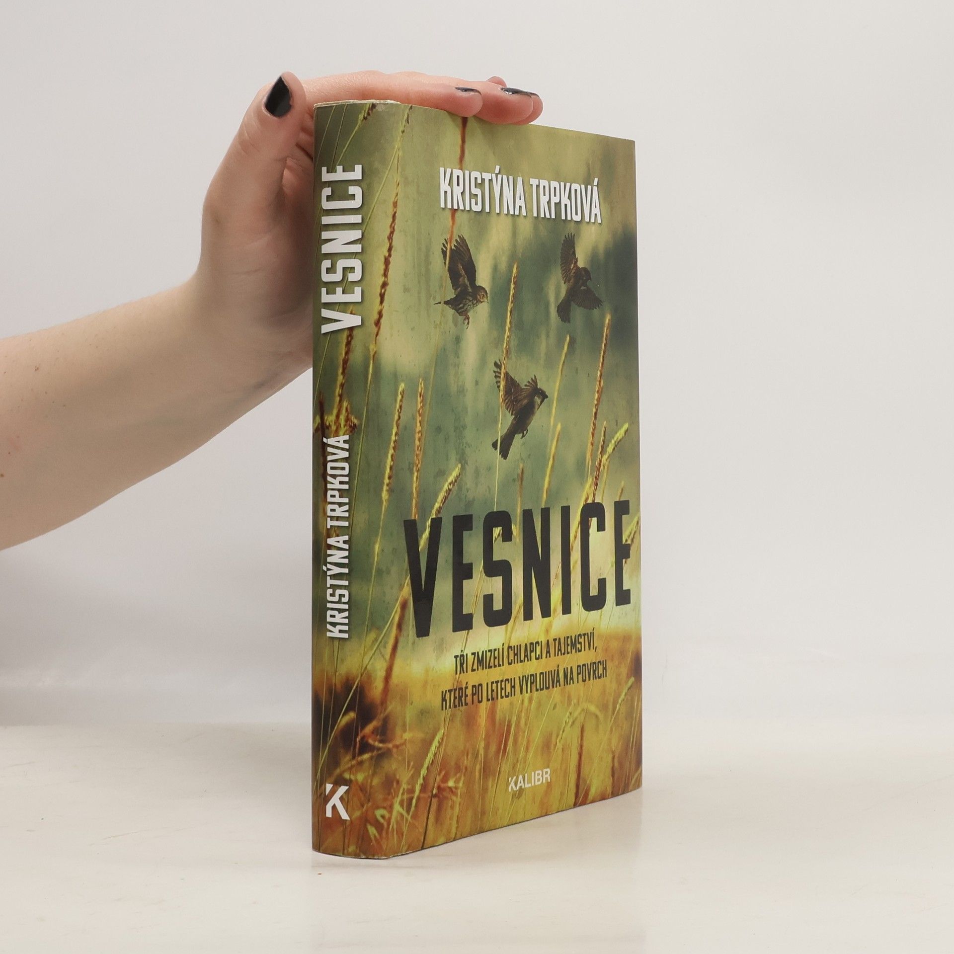 Kristýna Trpková Vesnice