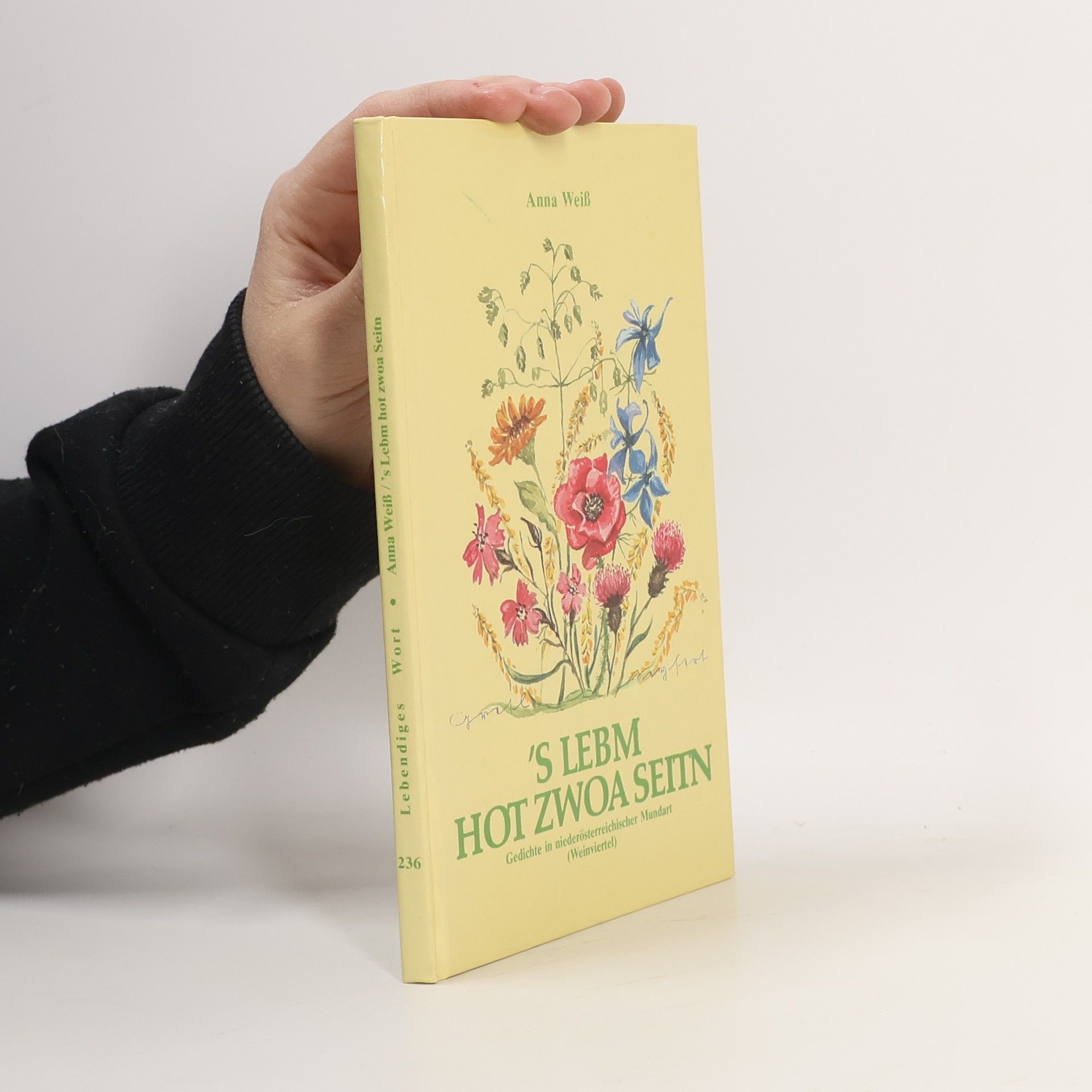 Lebendiges Wort: 'S Lebm hot zwoa Seitn