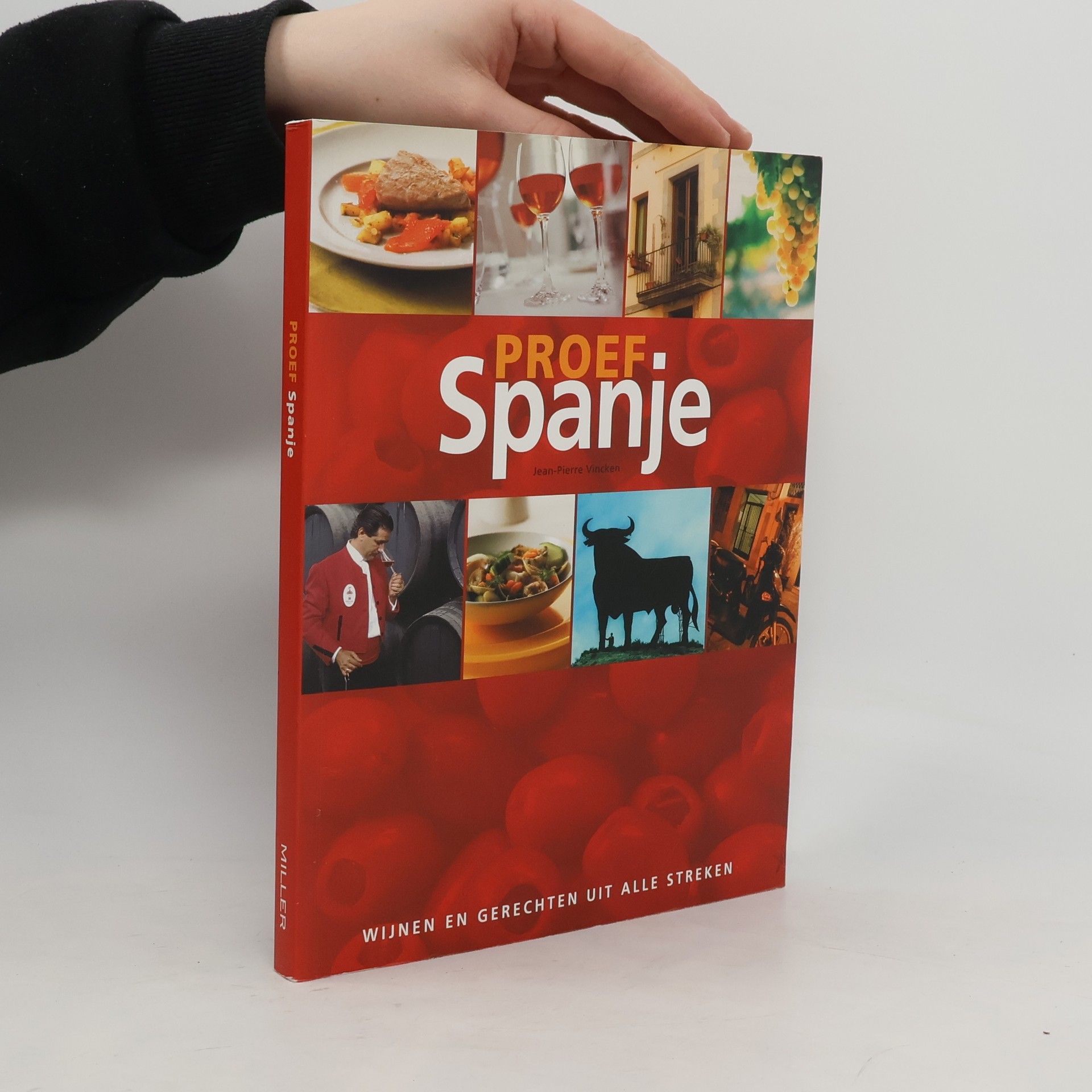 Jean-Pierre Vincken Proef Spanje