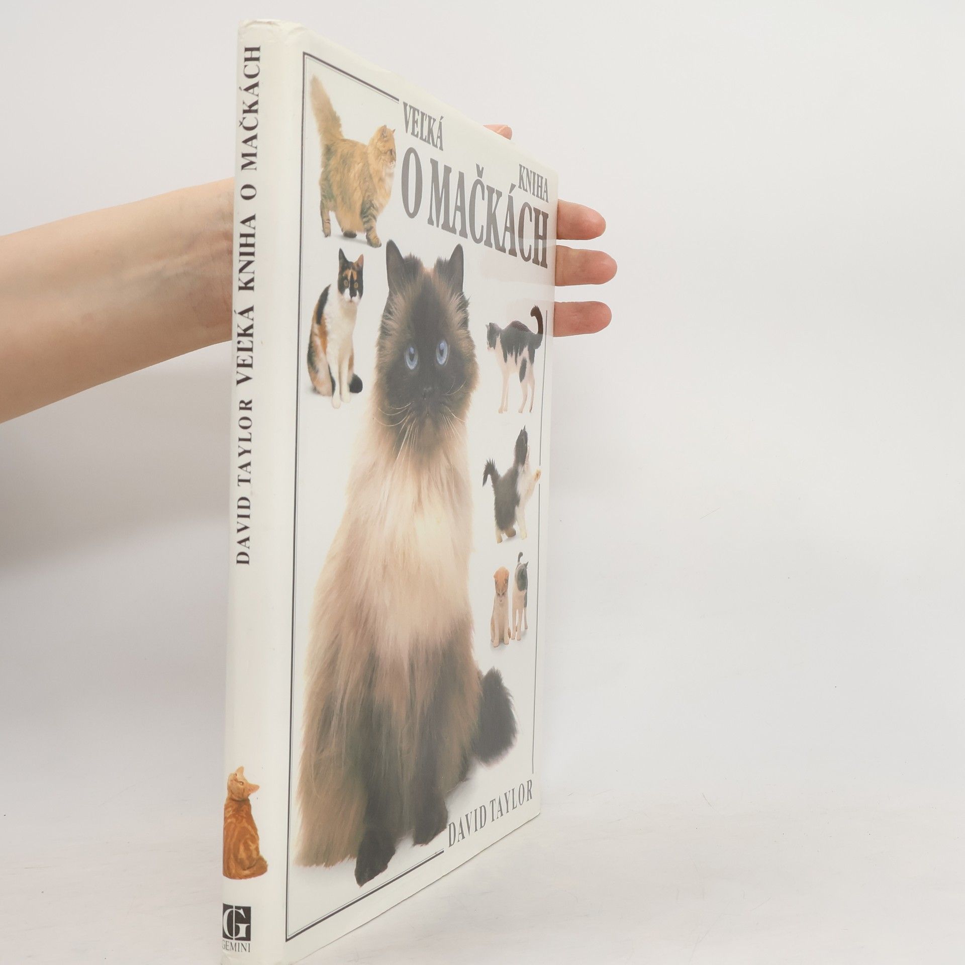 David Conrad Taylor Veľká kniha o mačkách