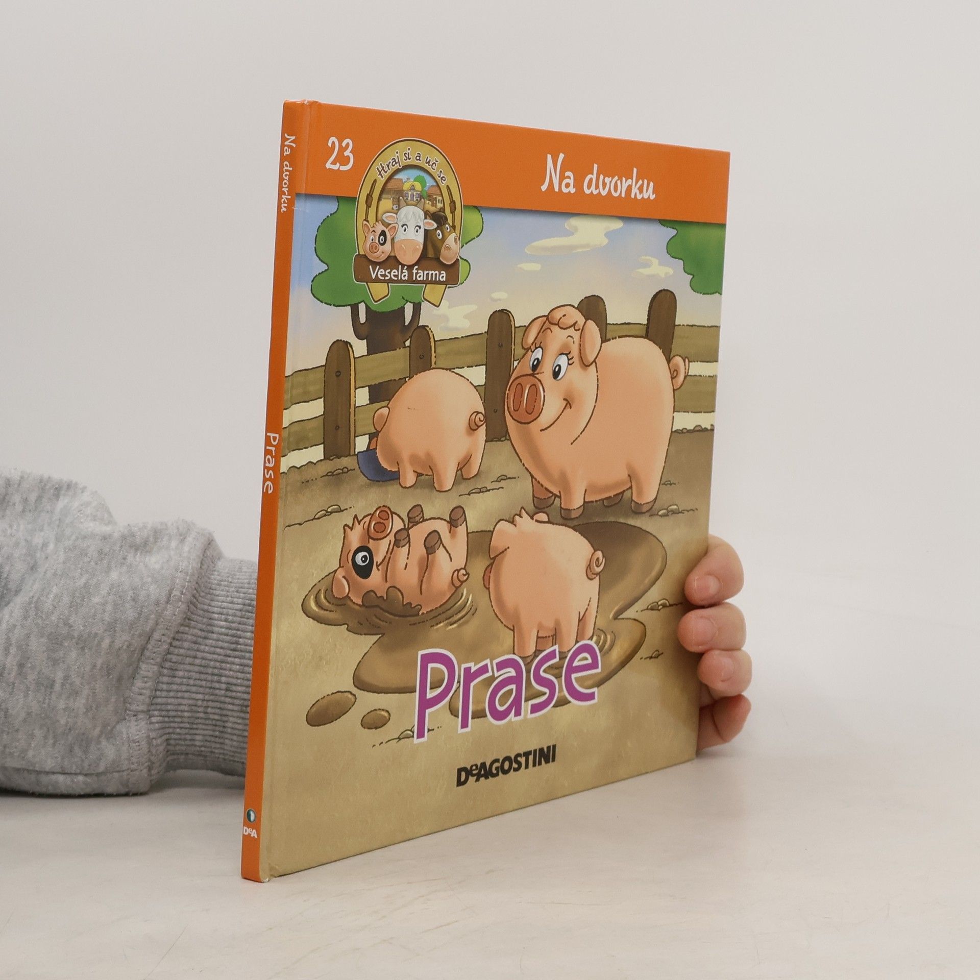 Autorenkollektiv Na dvorku 23. Prase