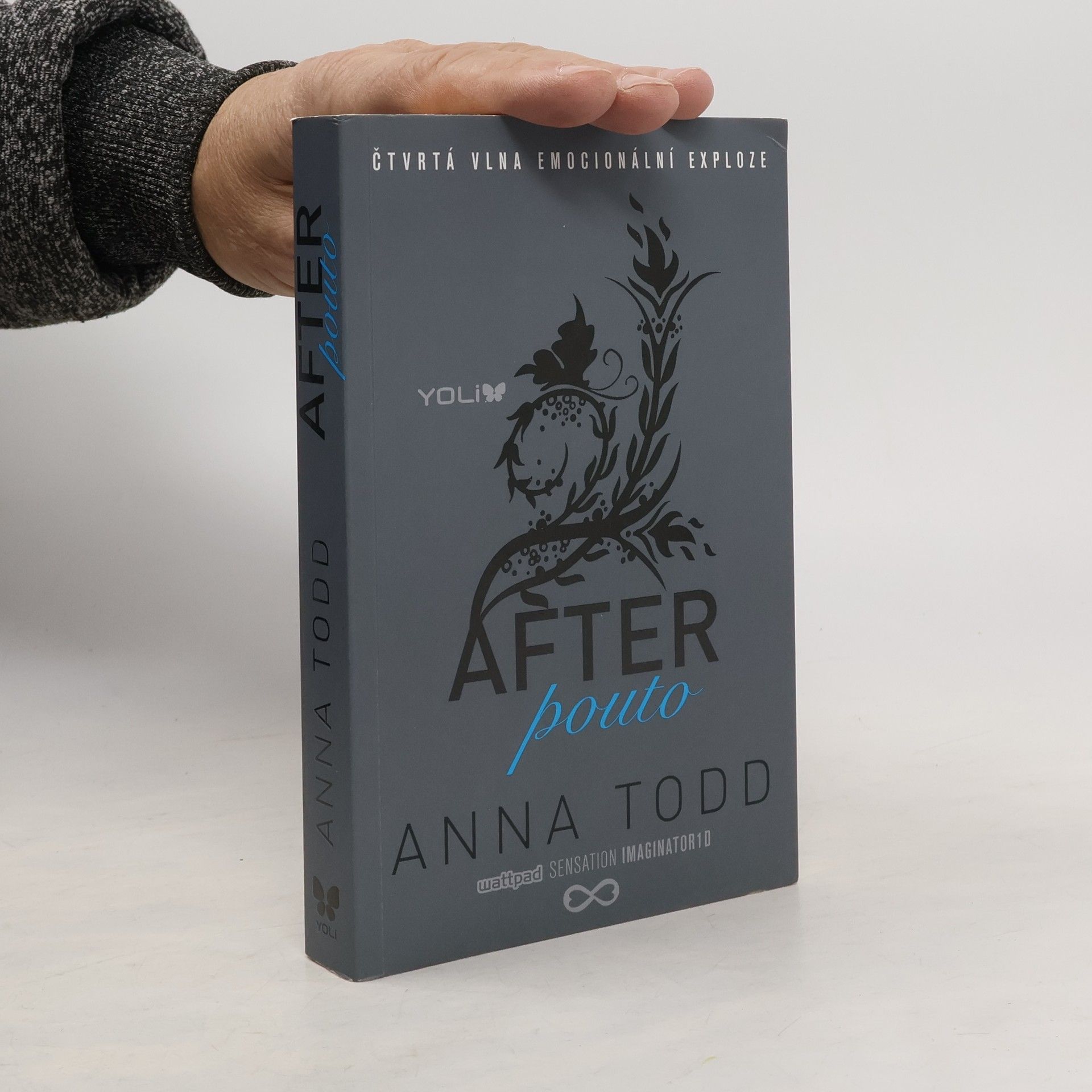 Anna Todd After. Pouto
