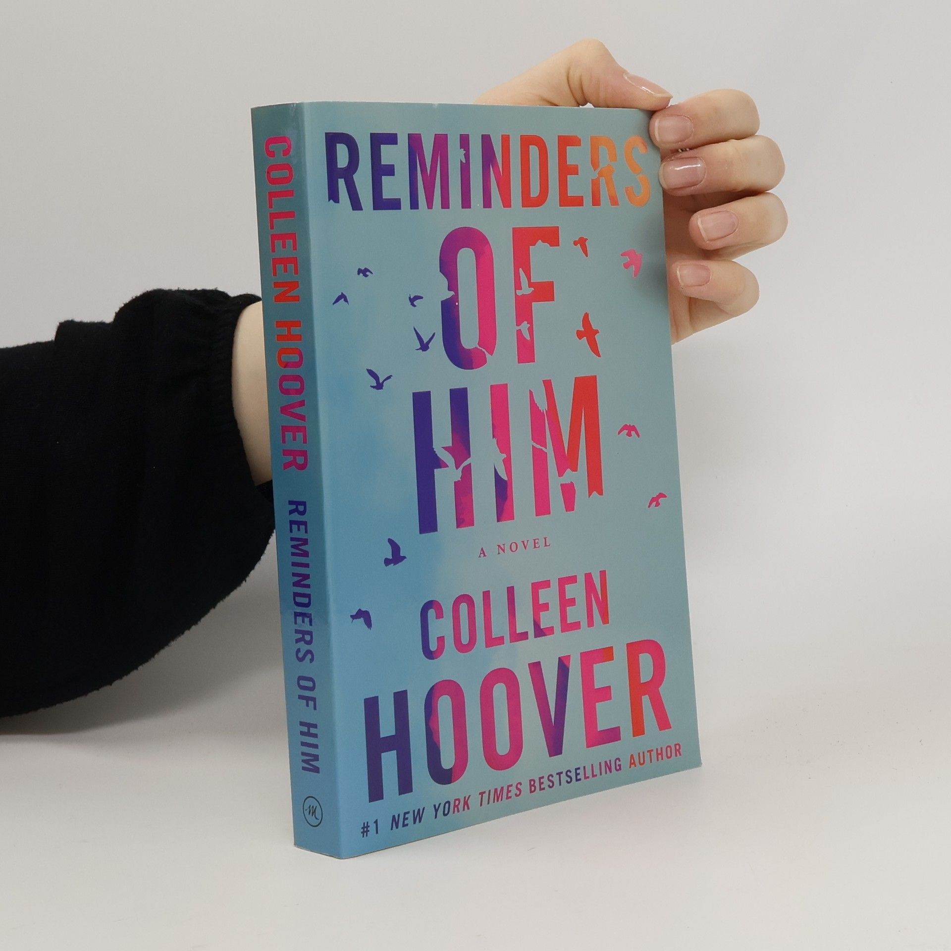 Colleen Hoover Reminders of him