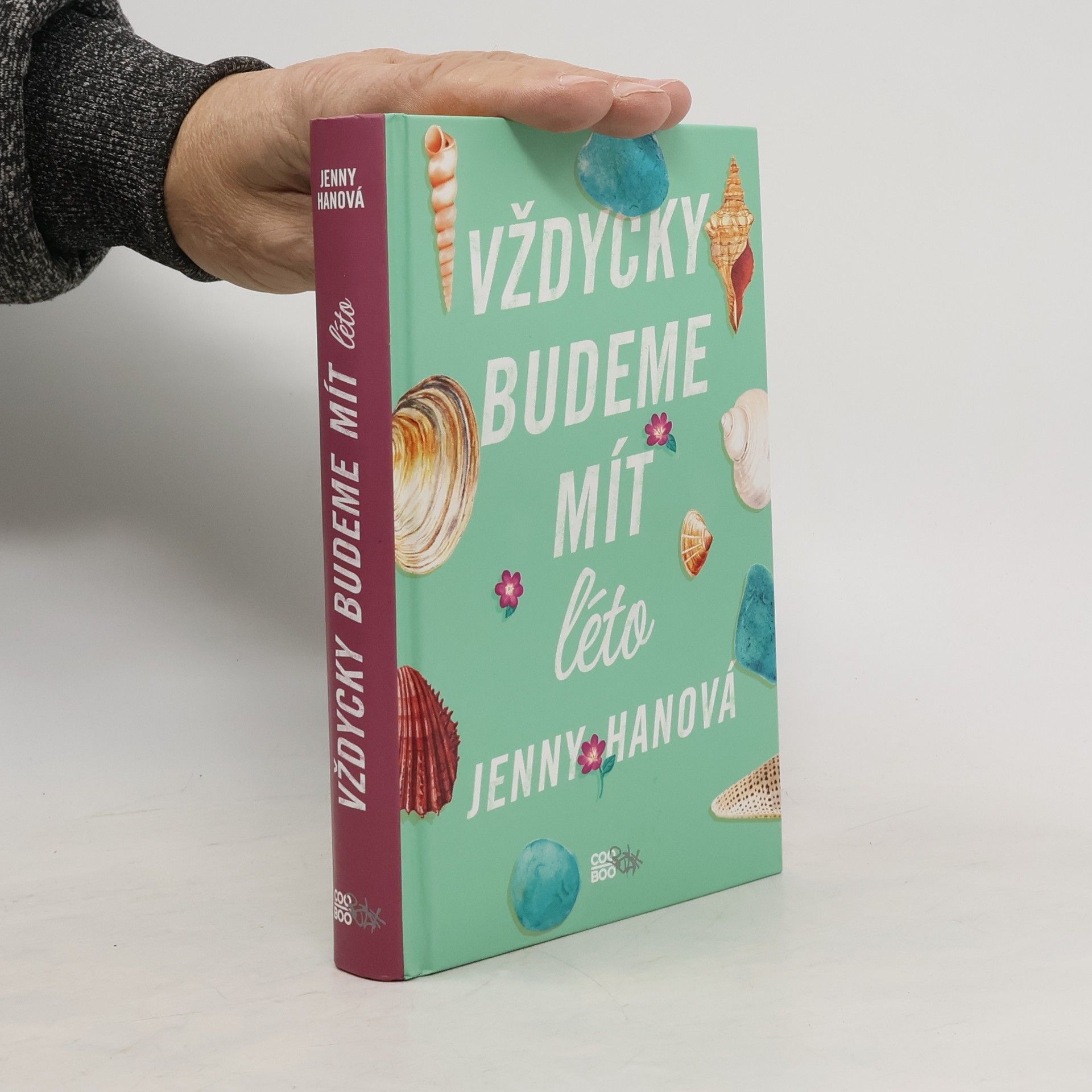 Jenny Han Vždycky budeme mít léto