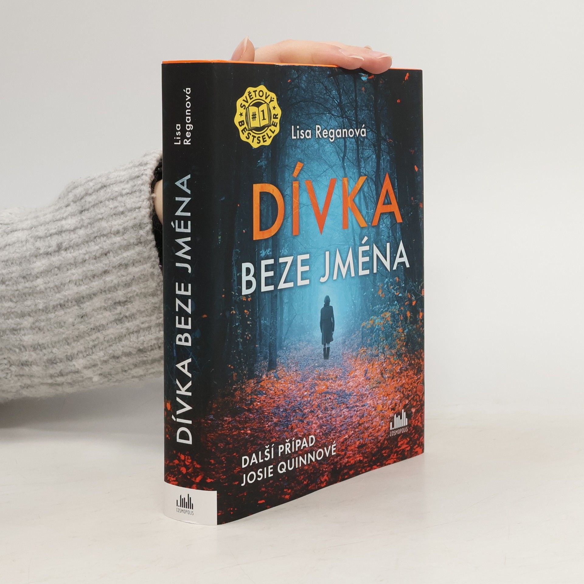 Lisa Regan Dívka beze jména: Další případ Josie Quinnové