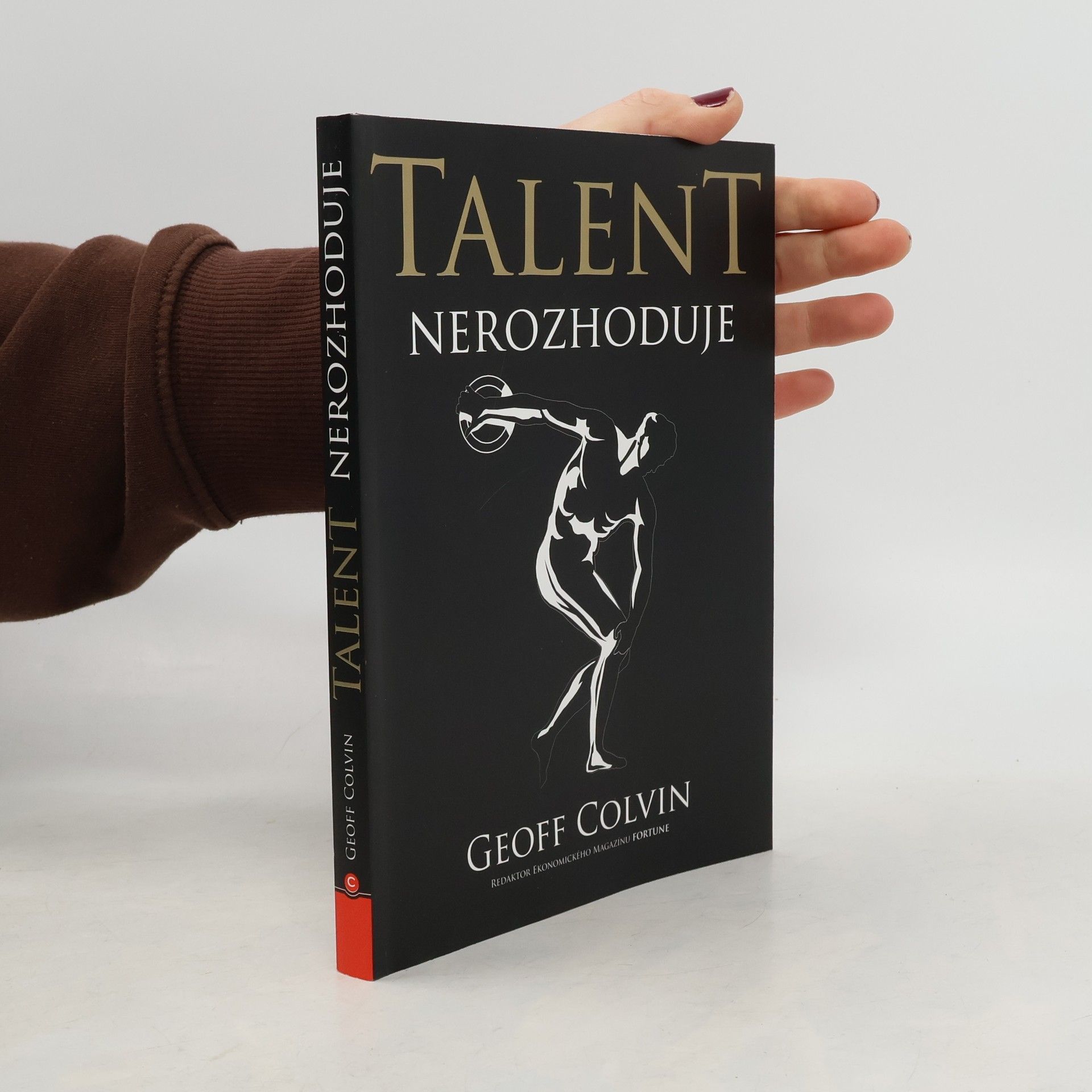 Geoffrey Colvin Talent nerozhoduje : čím se ti nejlepší skutečně liší od ostatních