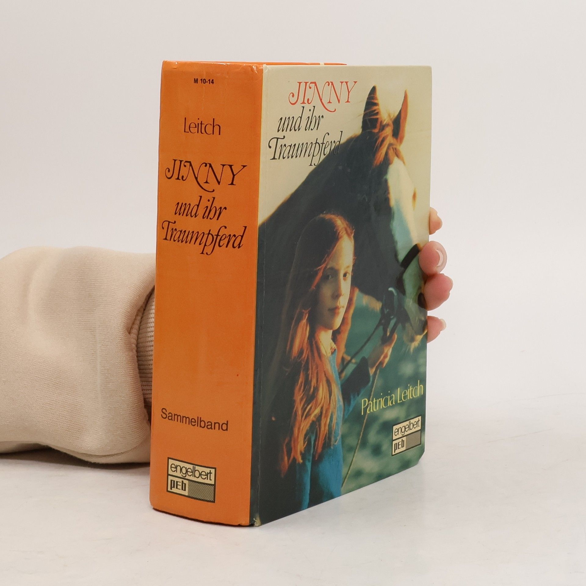 Patricia Leitch Jinny und ihr Traumpferd.