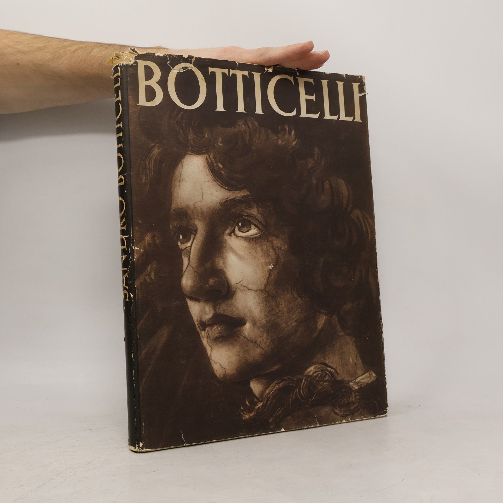 Various authors Sandro Botticelli