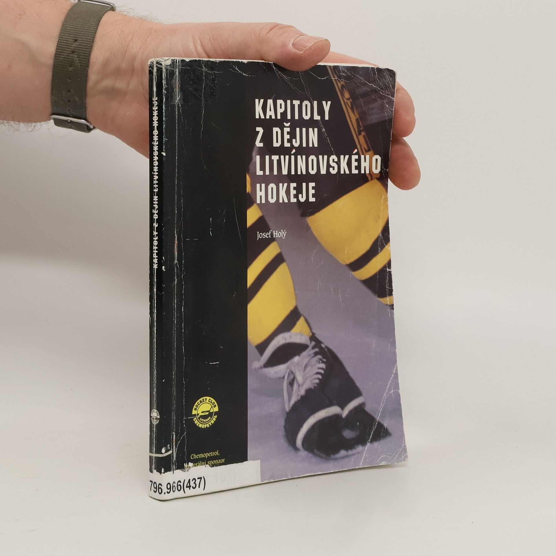 Josef Holý Kapitoly z dějin litvínovského hokeje