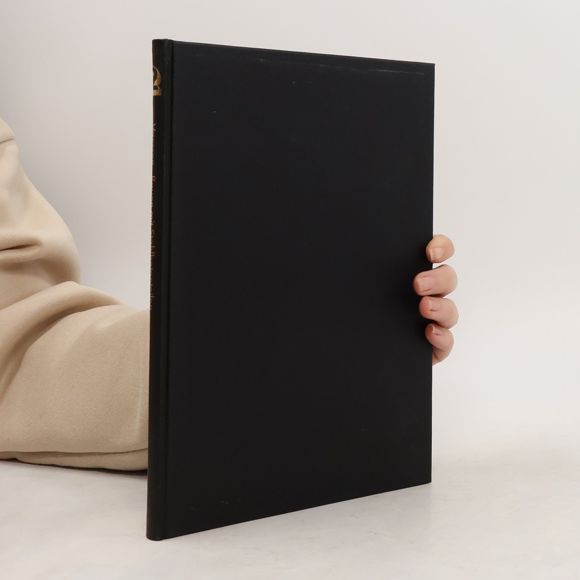 Franz Vaessen Bauen mit vorgefertigten Stahlbetonteilen