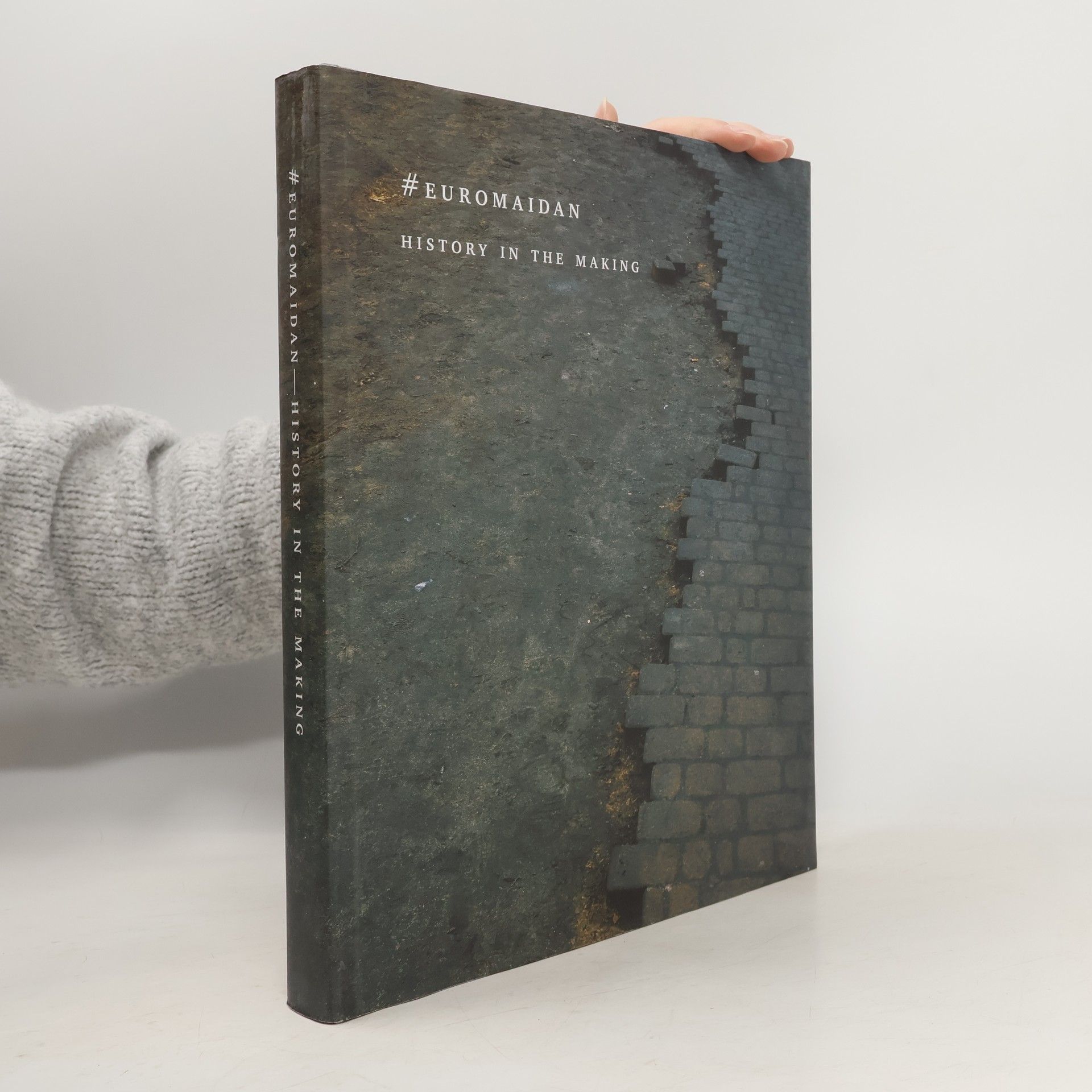 Kateryna Taylor #Euromaidan