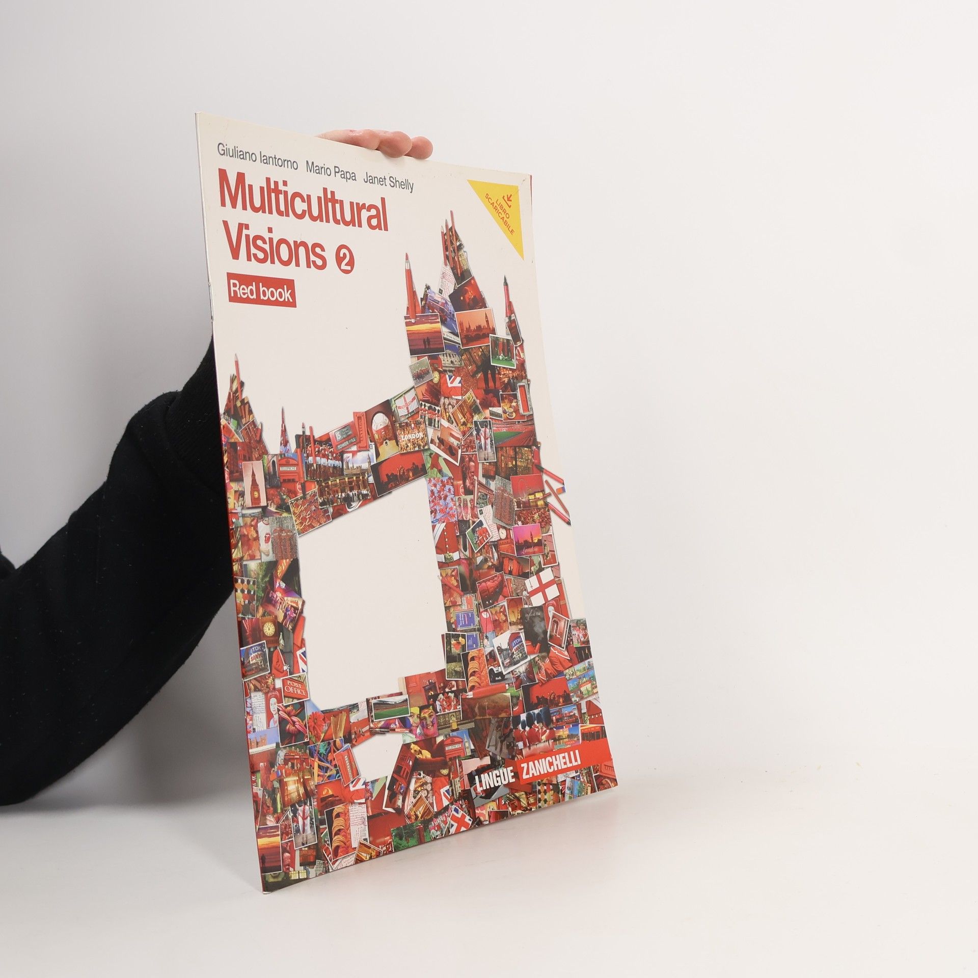 Multicultural Visions