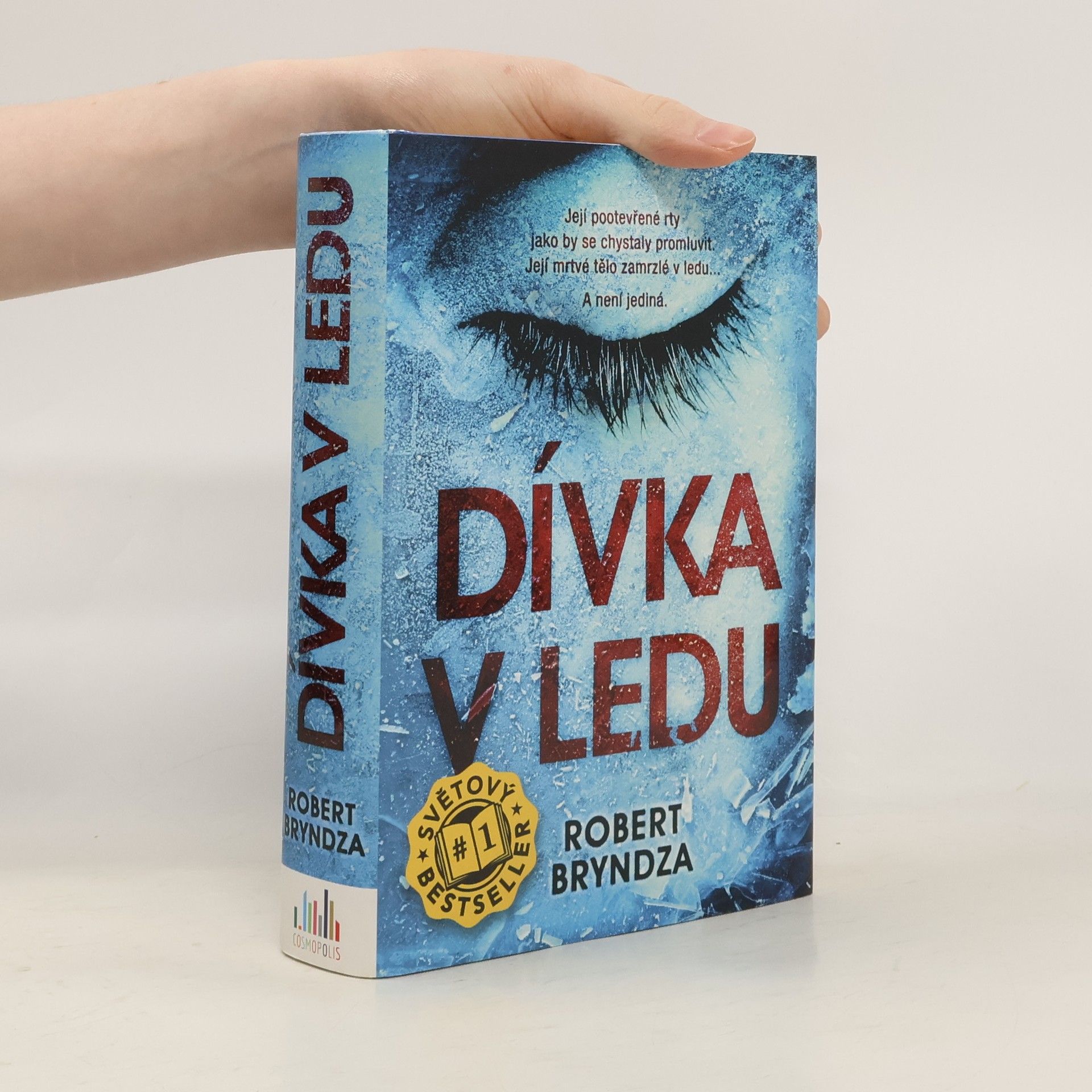 Robert Bryndza Dívka v ledu