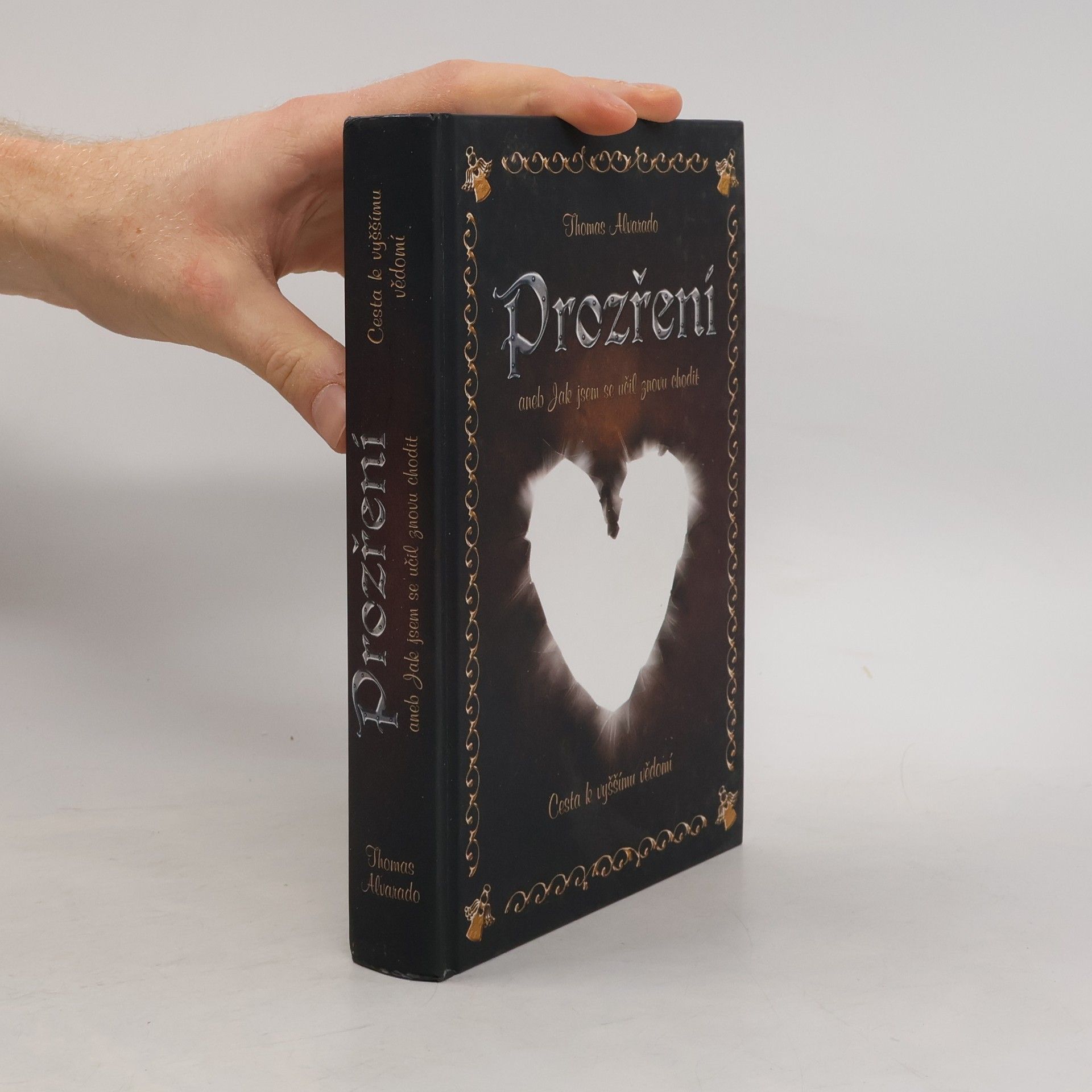 Thomas Alvarado Prozření, aneb, Jak jsem se učil znovu chodit : cesta k vyššímu vědomí