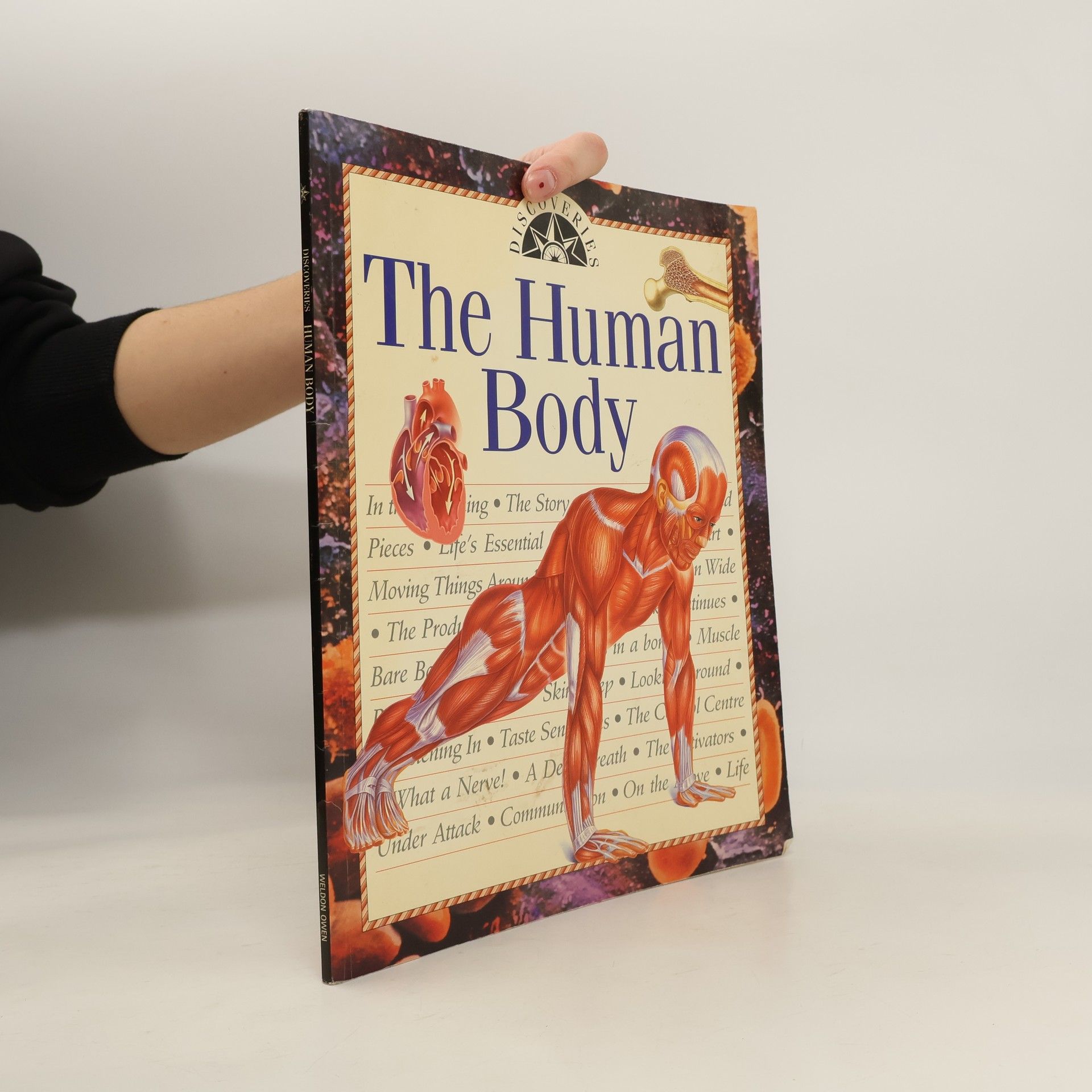 Marie Rose The Human Body