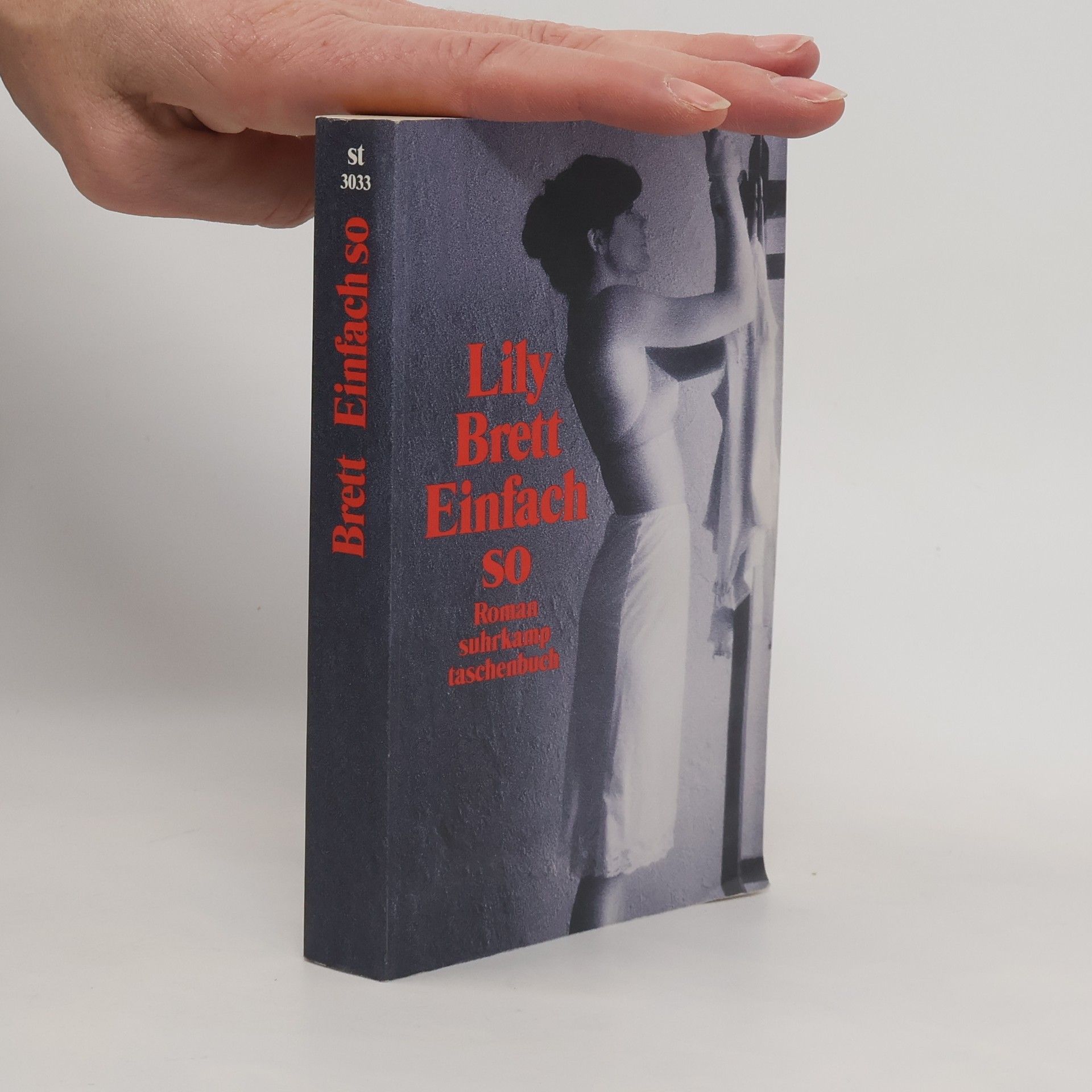 Lily Brett Einfach so