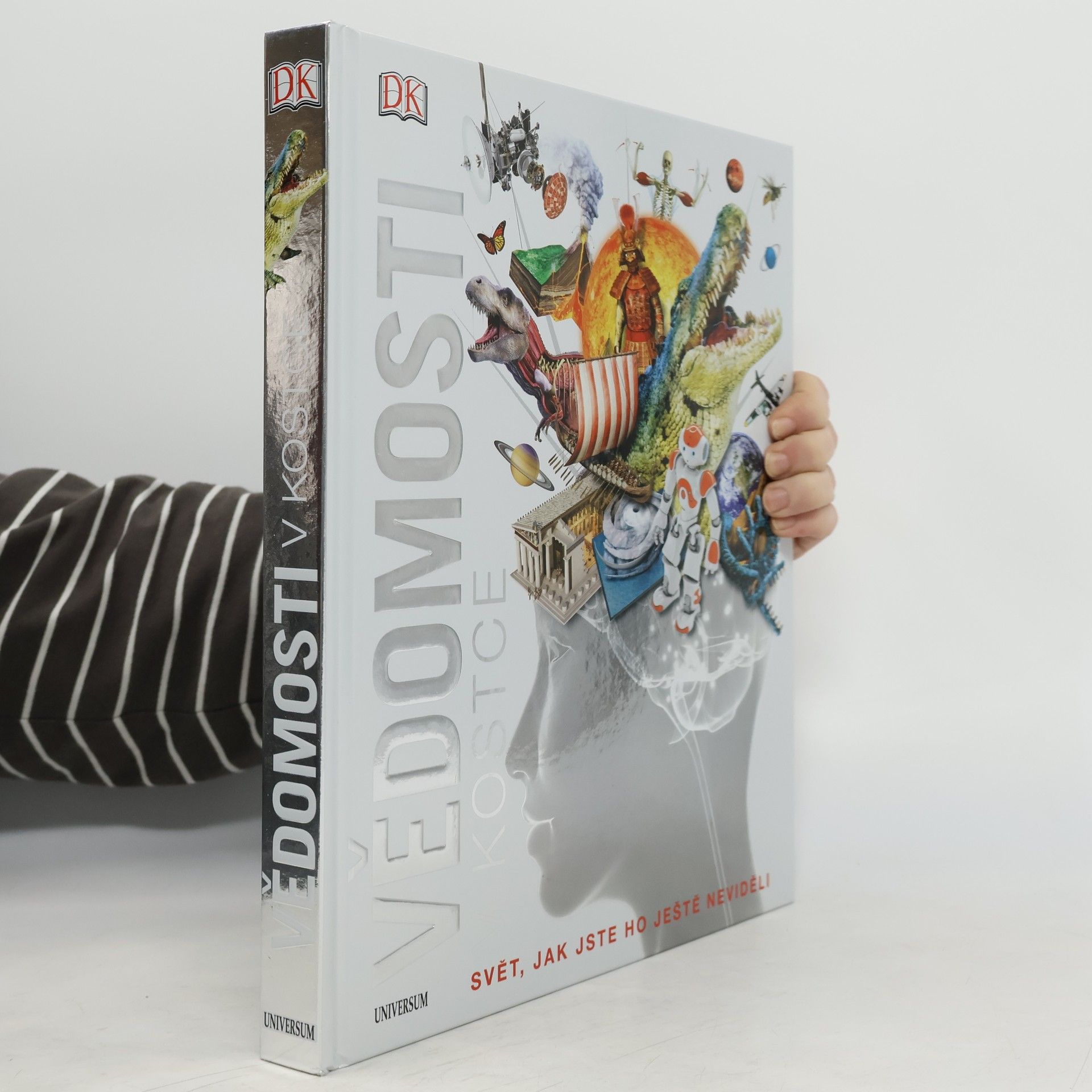 Kolektiv autorů Vědomosti v kostce. Svět, jak jste ho ještě neviděli