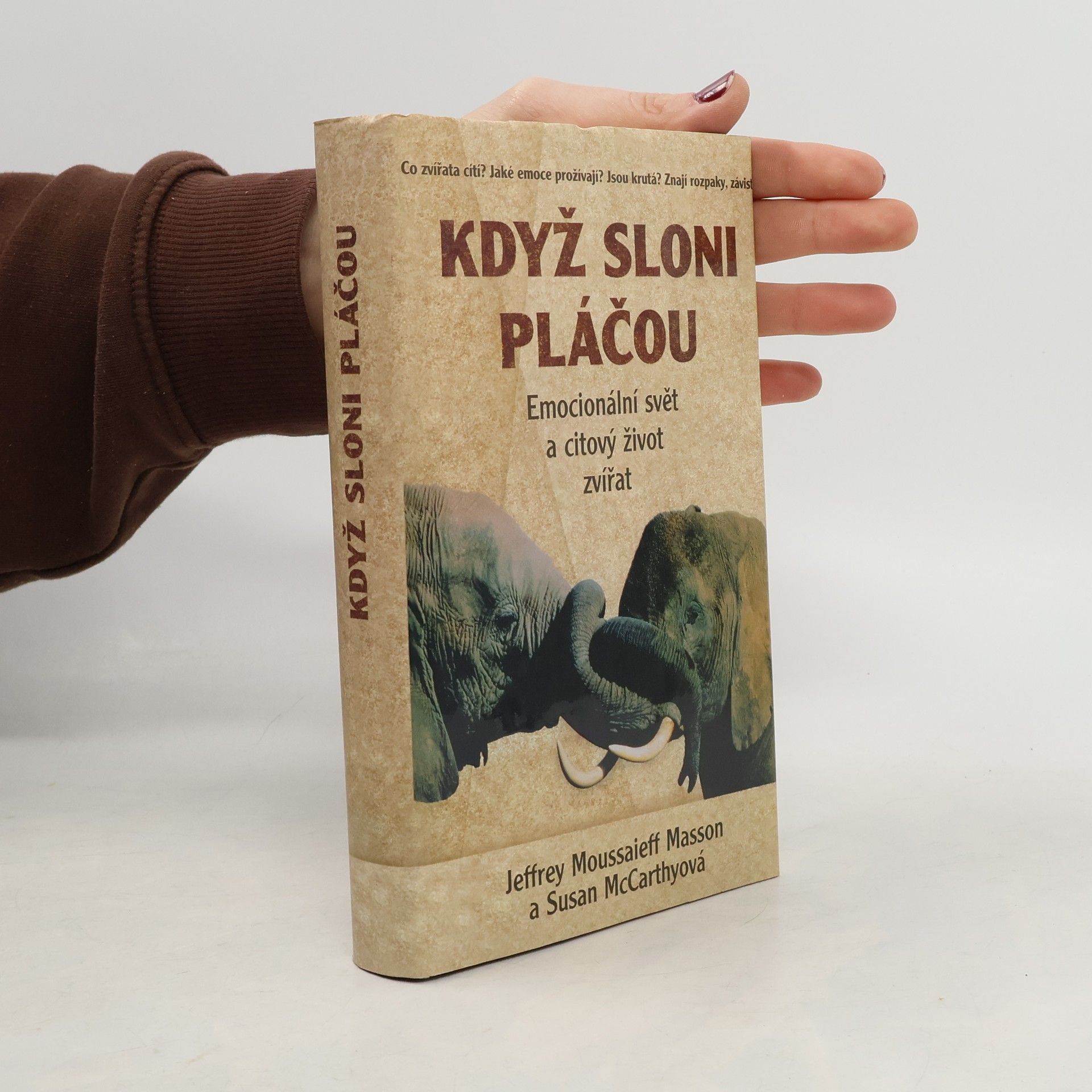 Když sloni pláčou