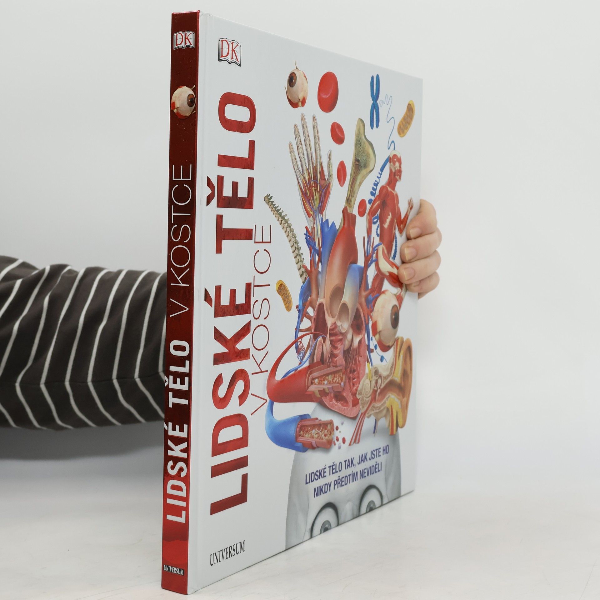 Lidské tělo v kostce