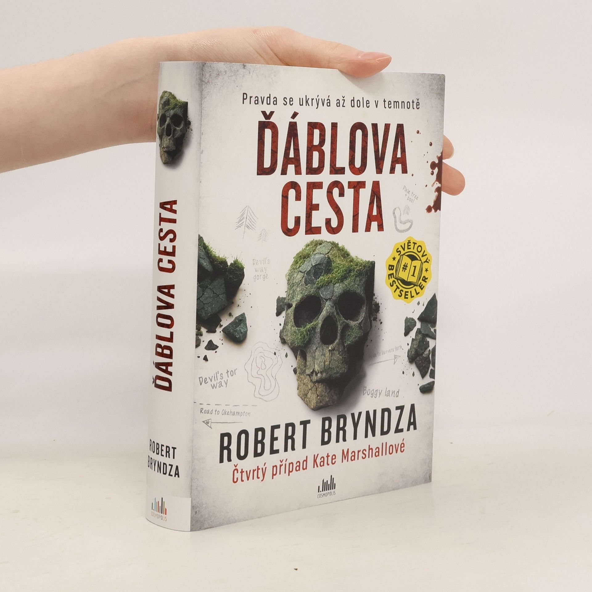 Robert Bryndza Ďáblova cesta