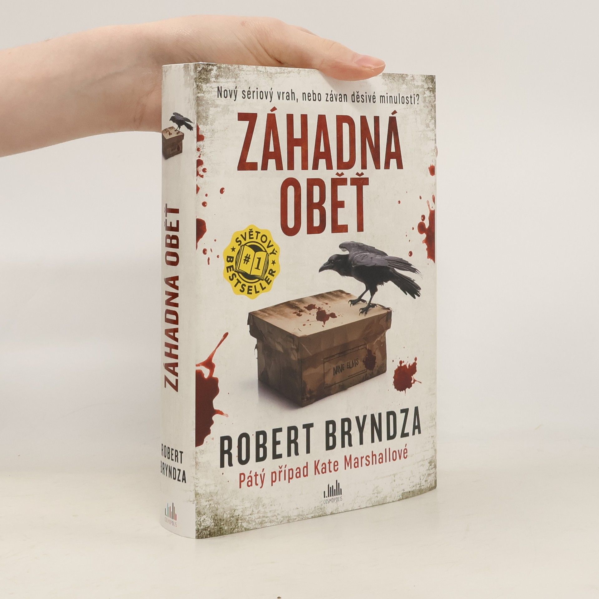 Robert Bryndza Záhadná oběť