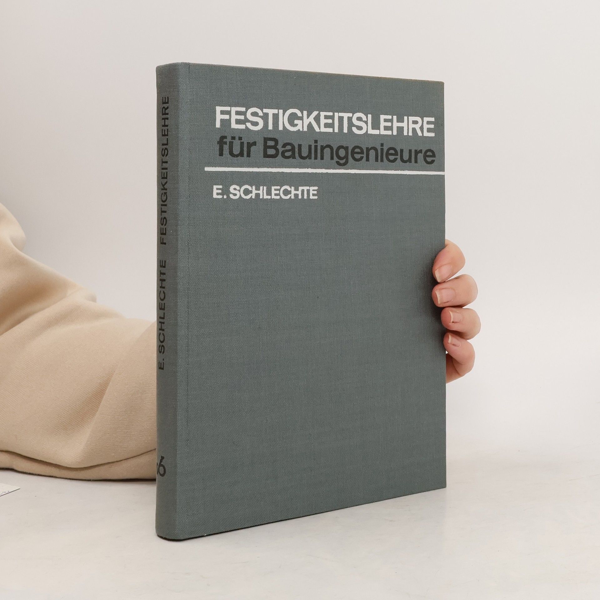 Erhard Schlechte Festigkeitslehre für Bauingenieure