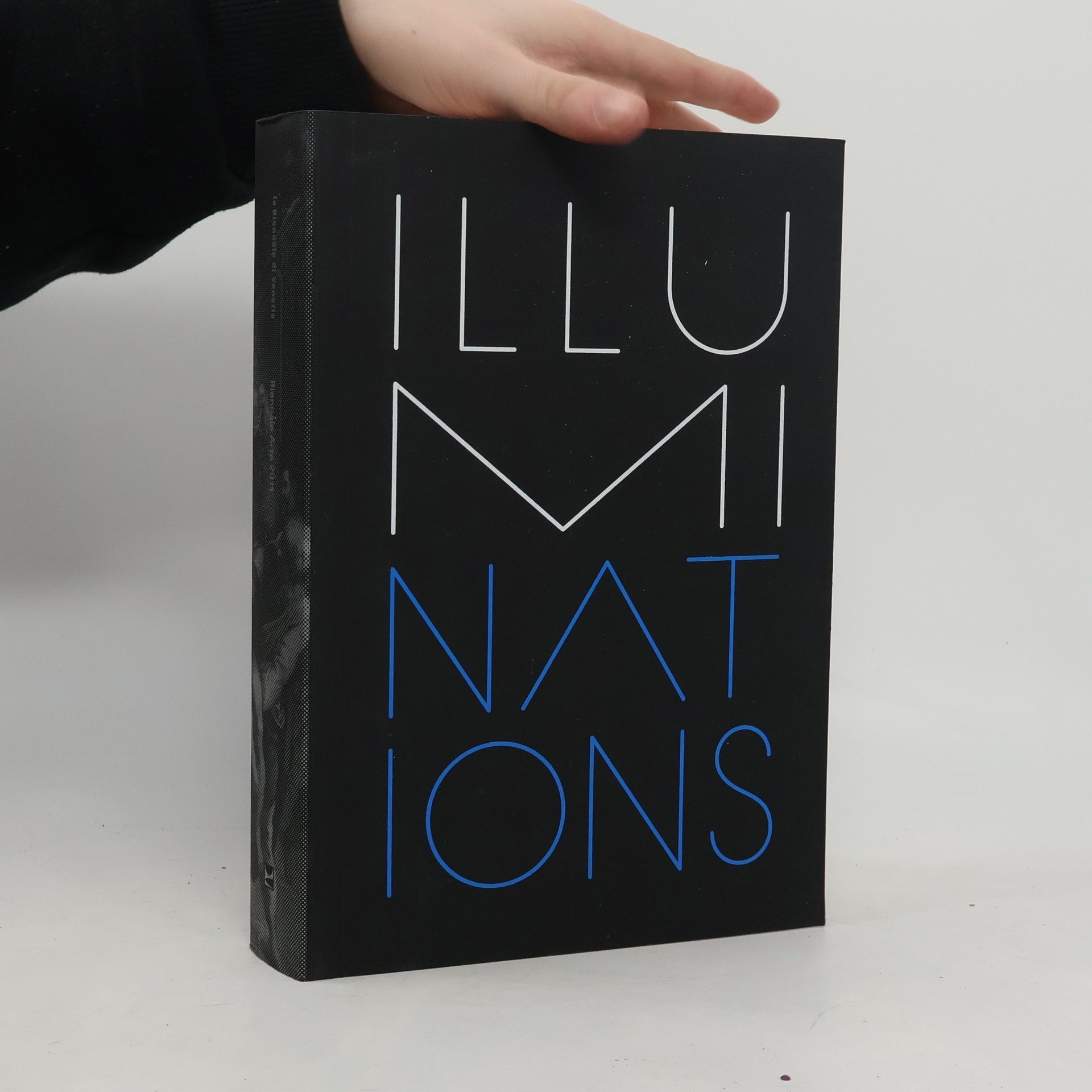 Autorenkollektiv ILLUMInations. Venice Biennale 2011