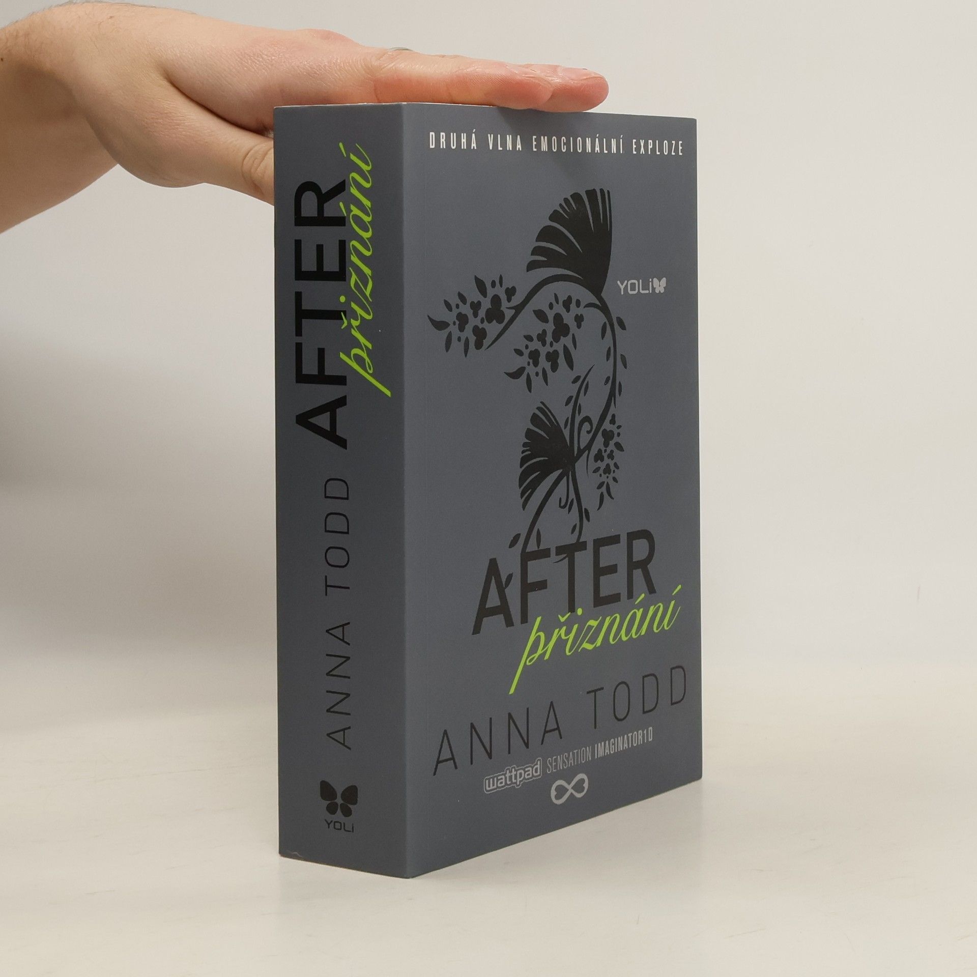 Anna Todd After. Přiznání