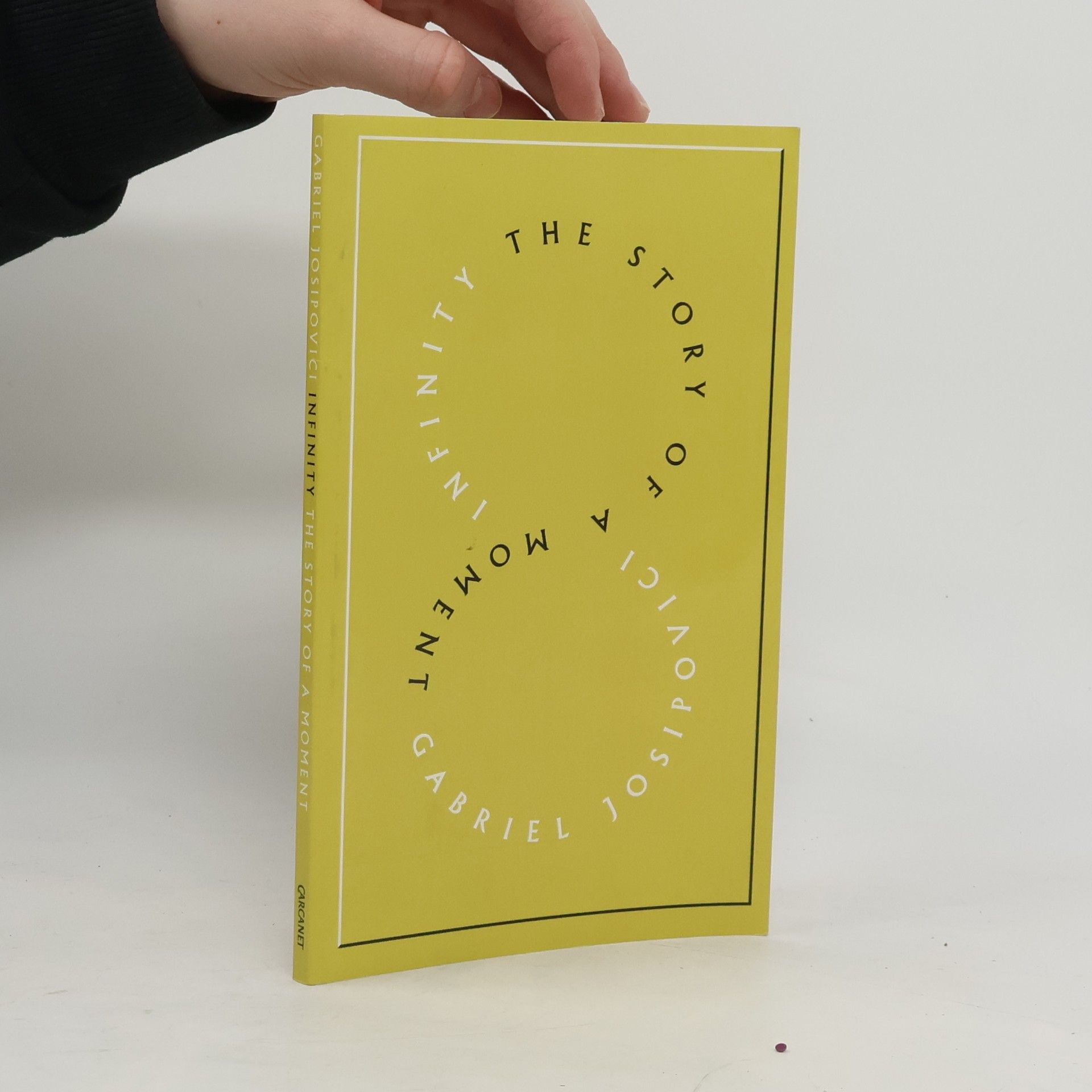 Gabriel Josipovici Infinity