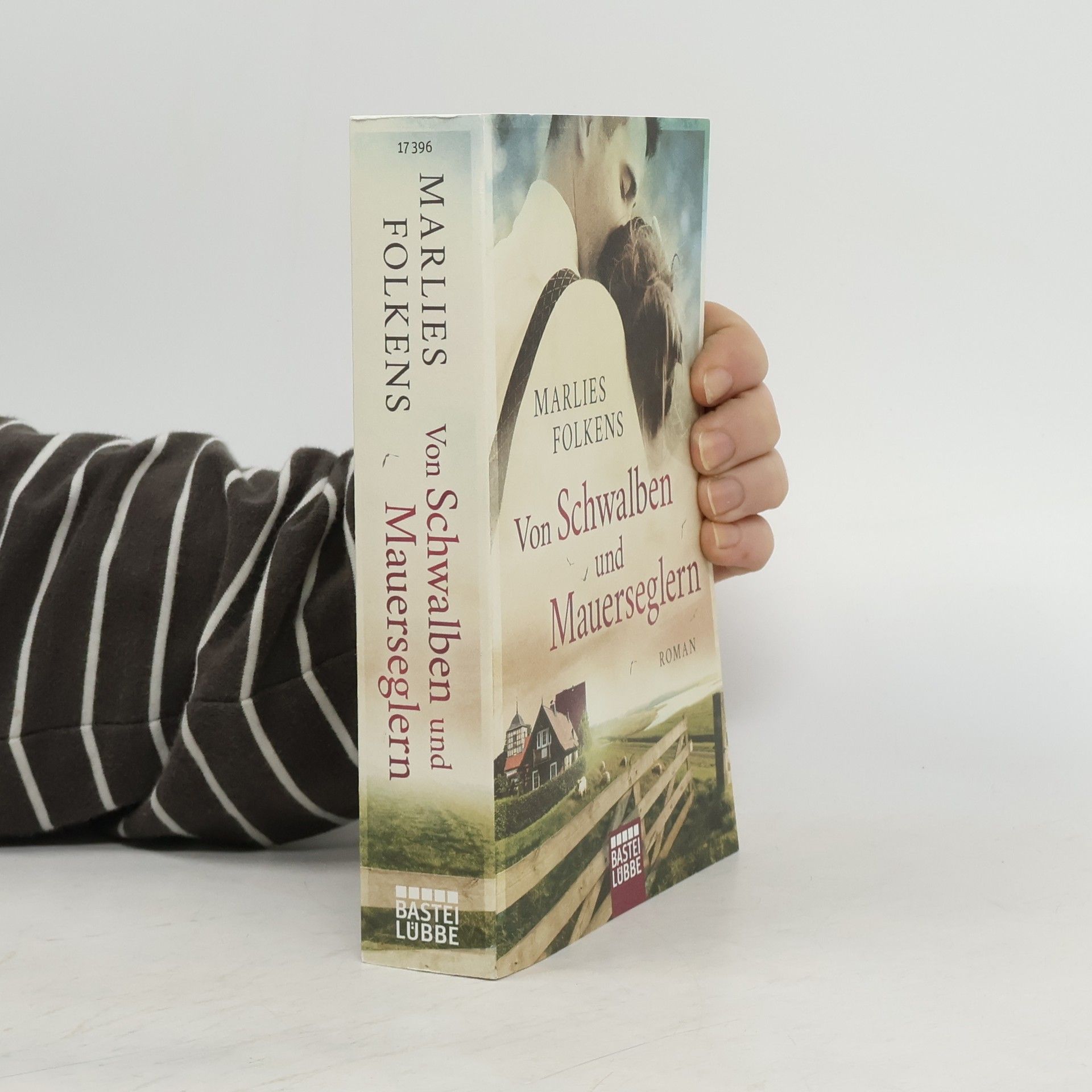 Marlies Folkens Von Schwalben und Mauerseglern