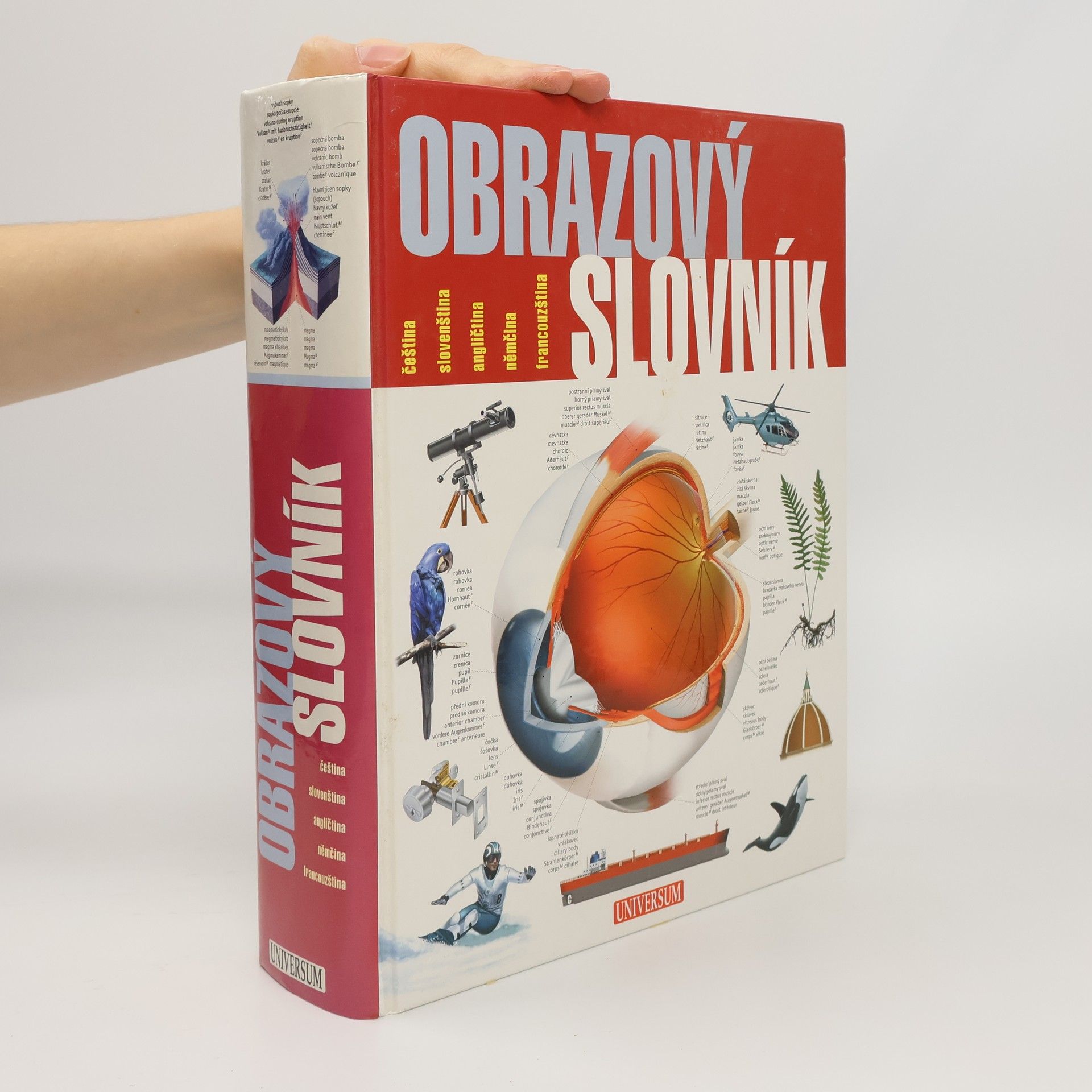 Ariane Archambault Obrazový slovník