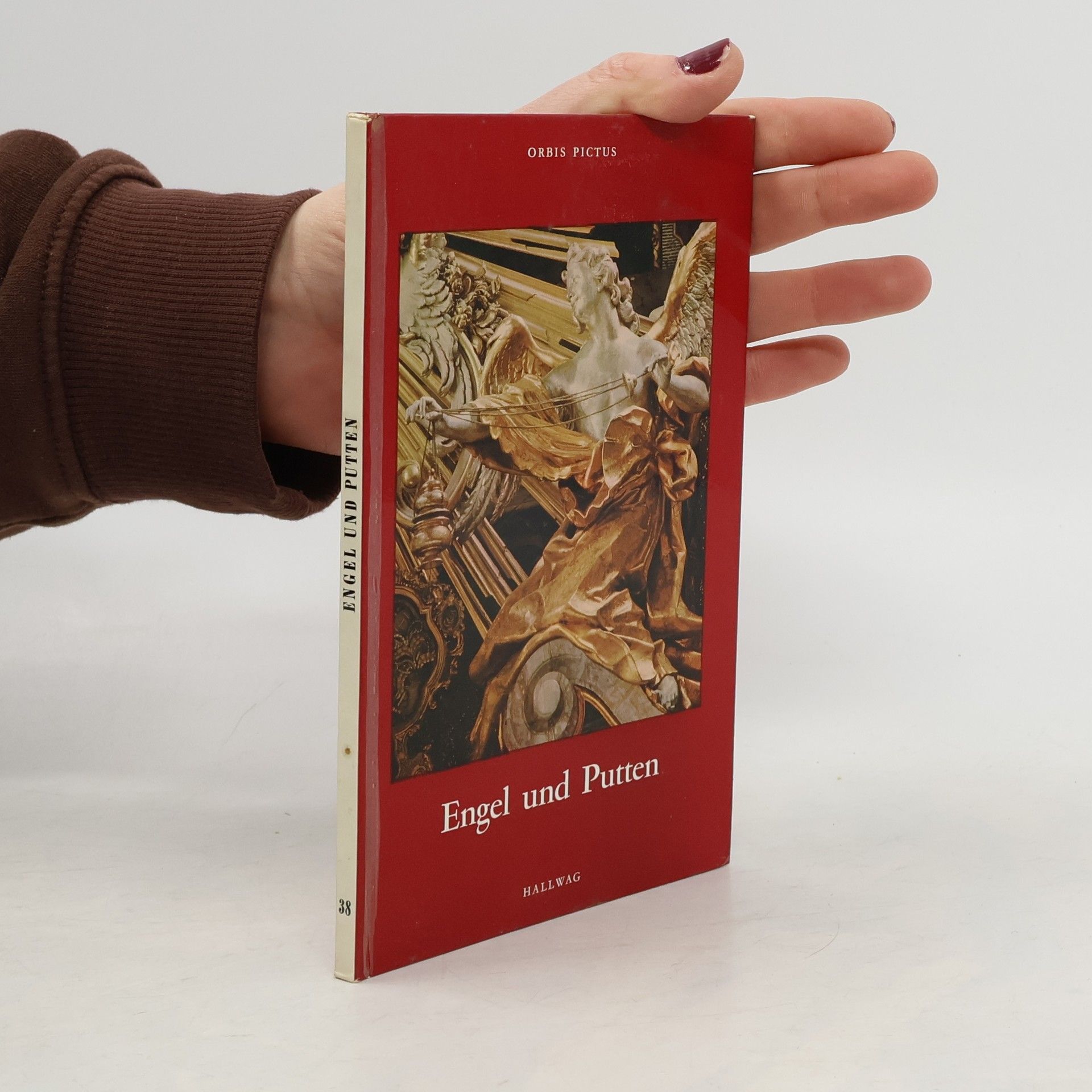 Kolektiv autorů Engel und Putten aus dem süddeutschen Spätbarock